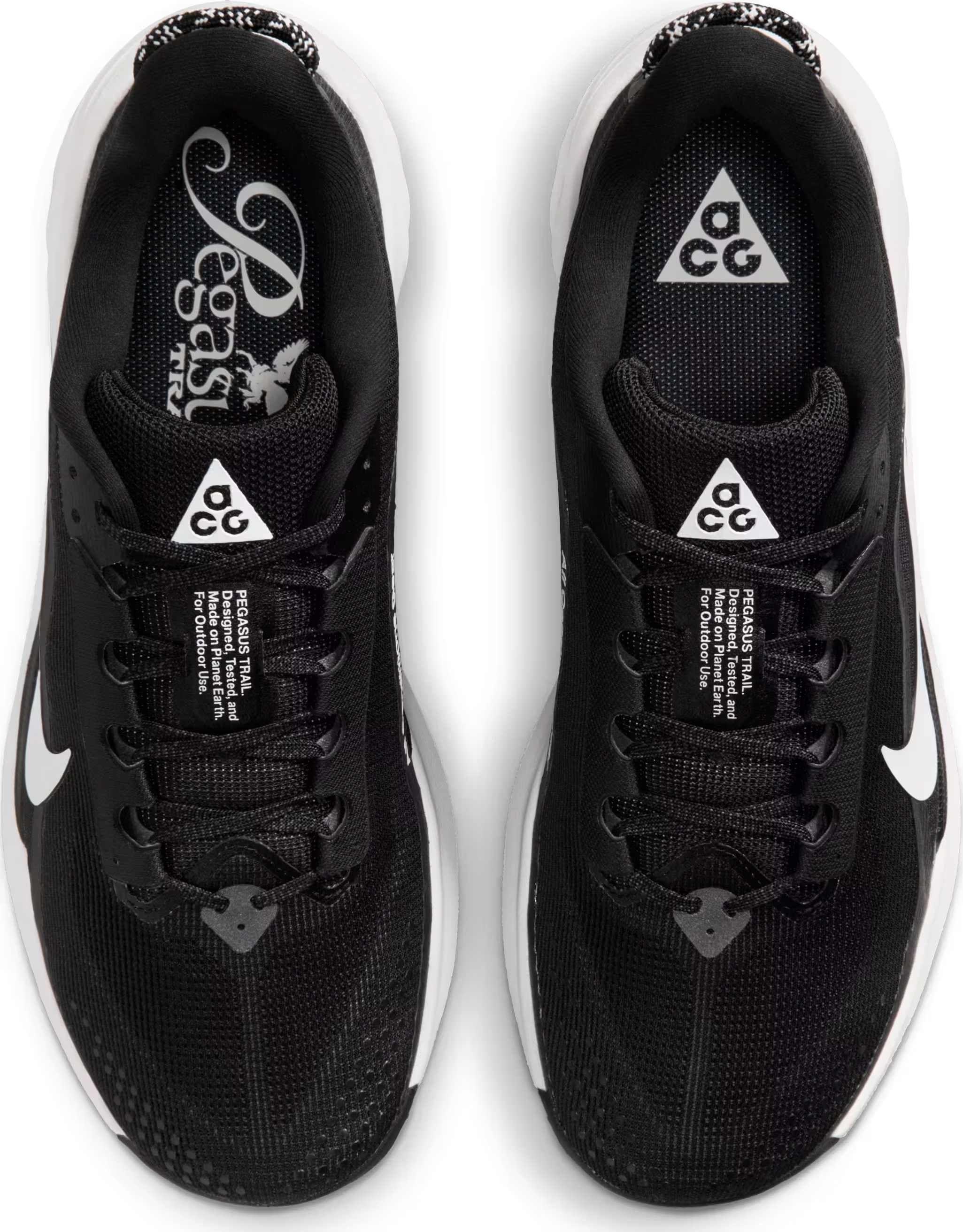 Nike ACG Pegasus Trail