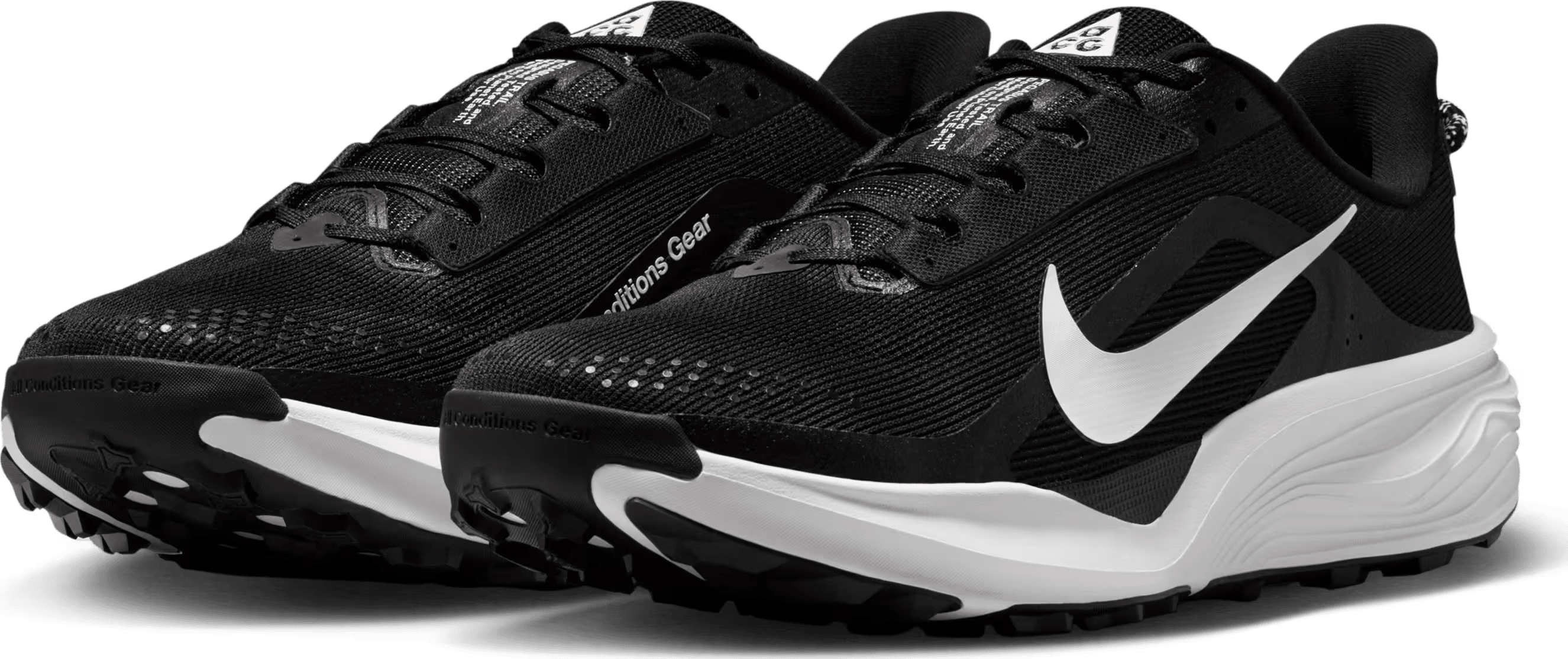 Nike ACG Pegasus Trail