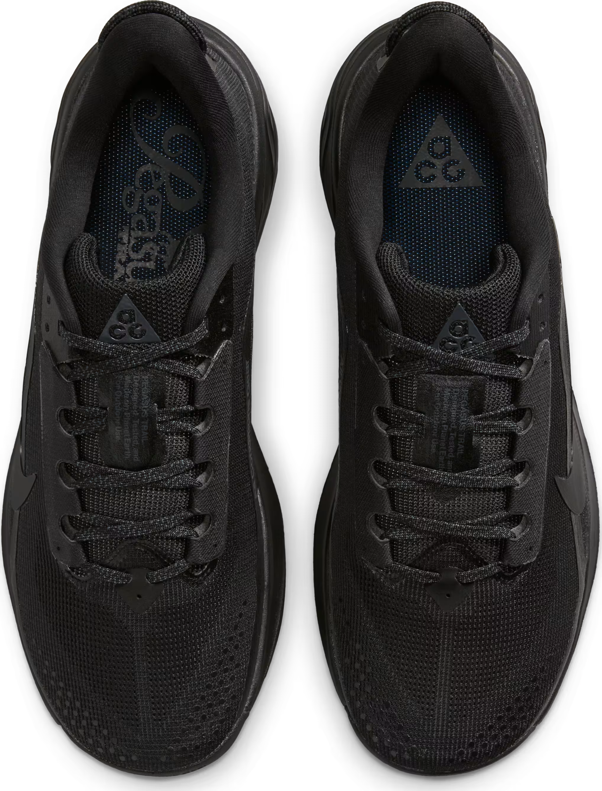 Nike ACG Pegasus Trail "Black Anthracite"
