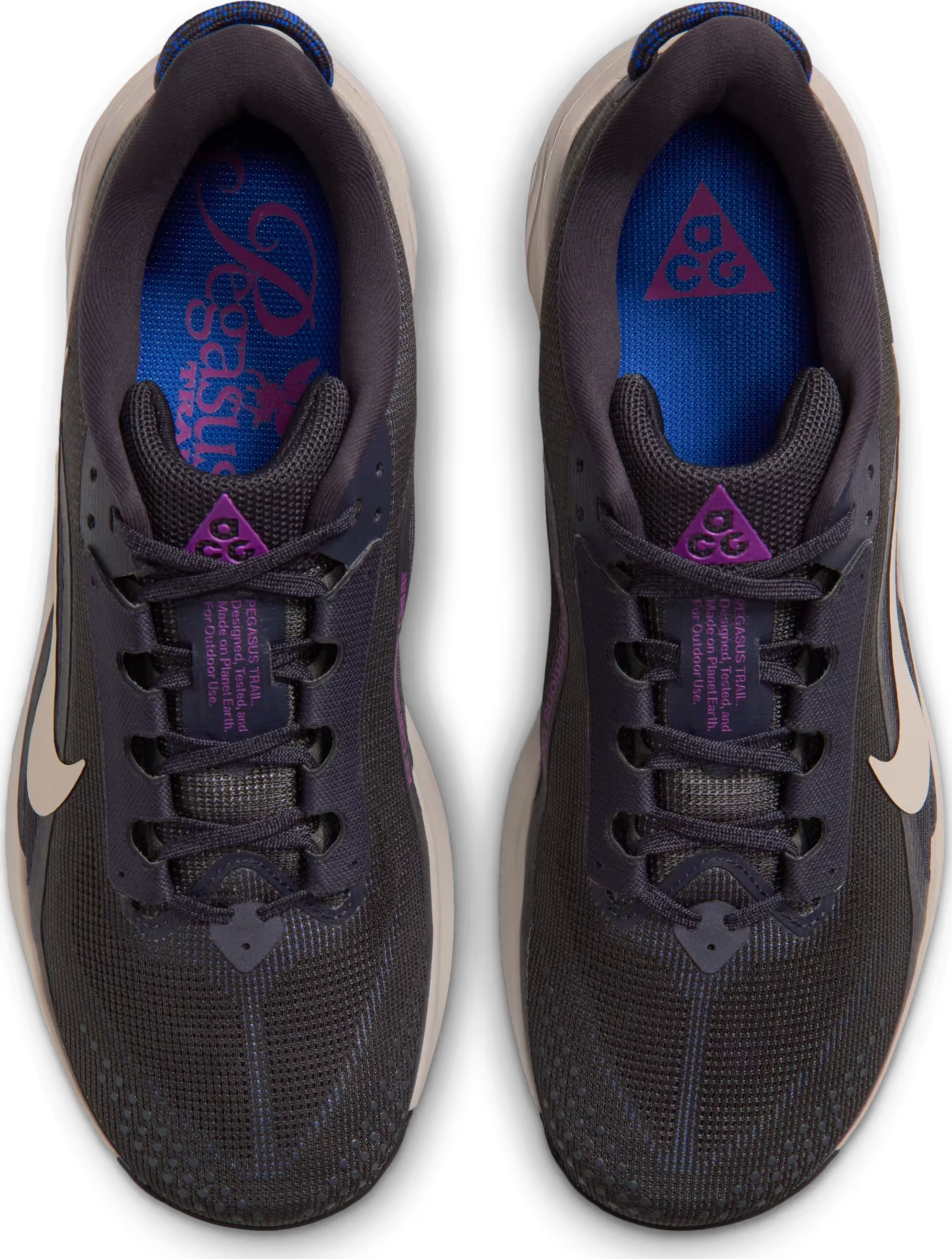 Nike ACG Pegasus Trail