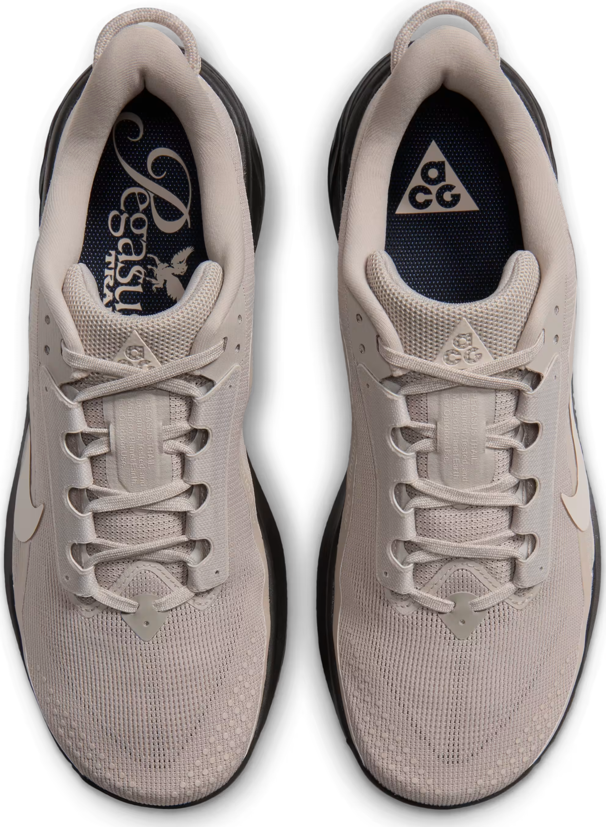 Nike ACG Pegasus Trail