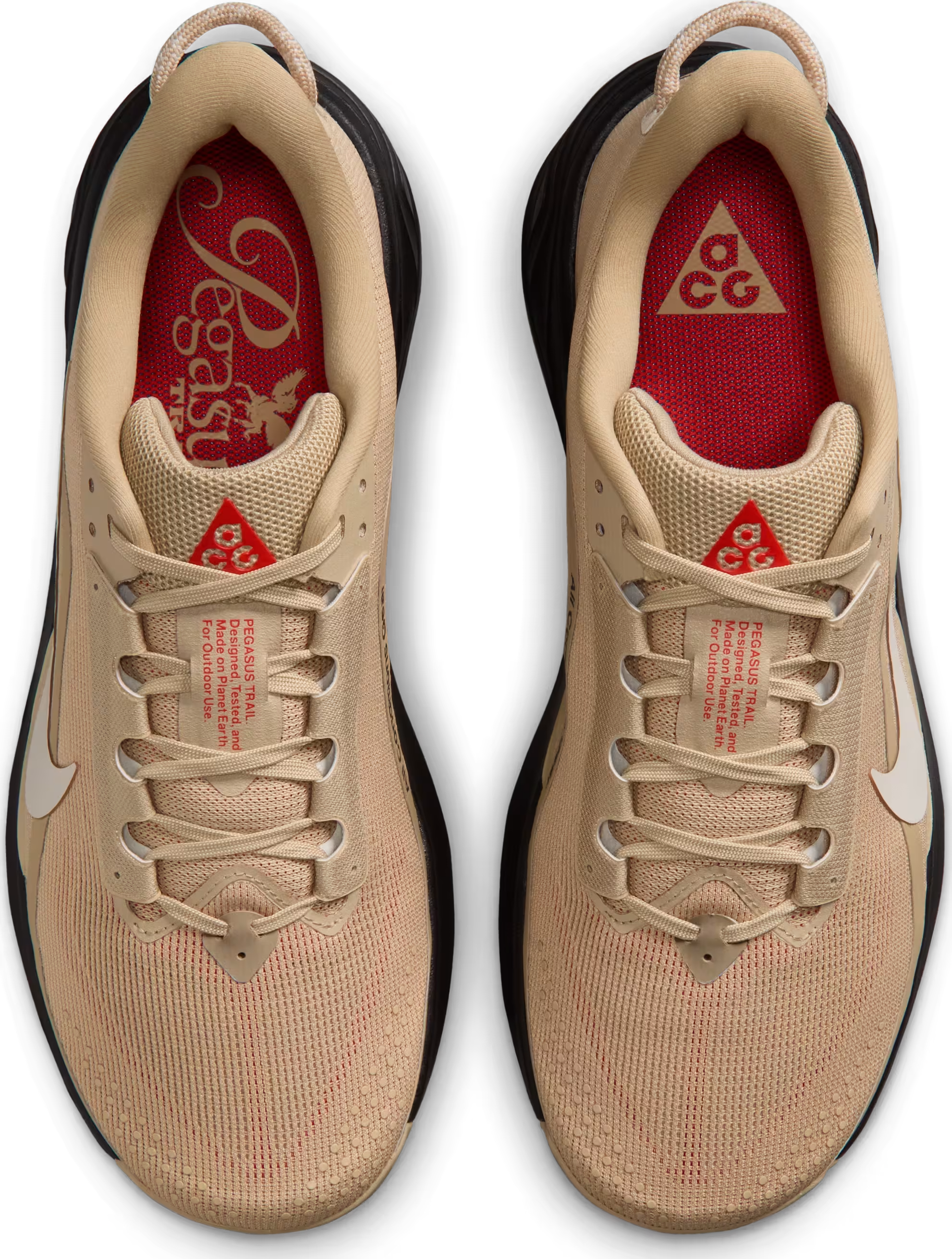 Nike ACG Pegasus Trail
