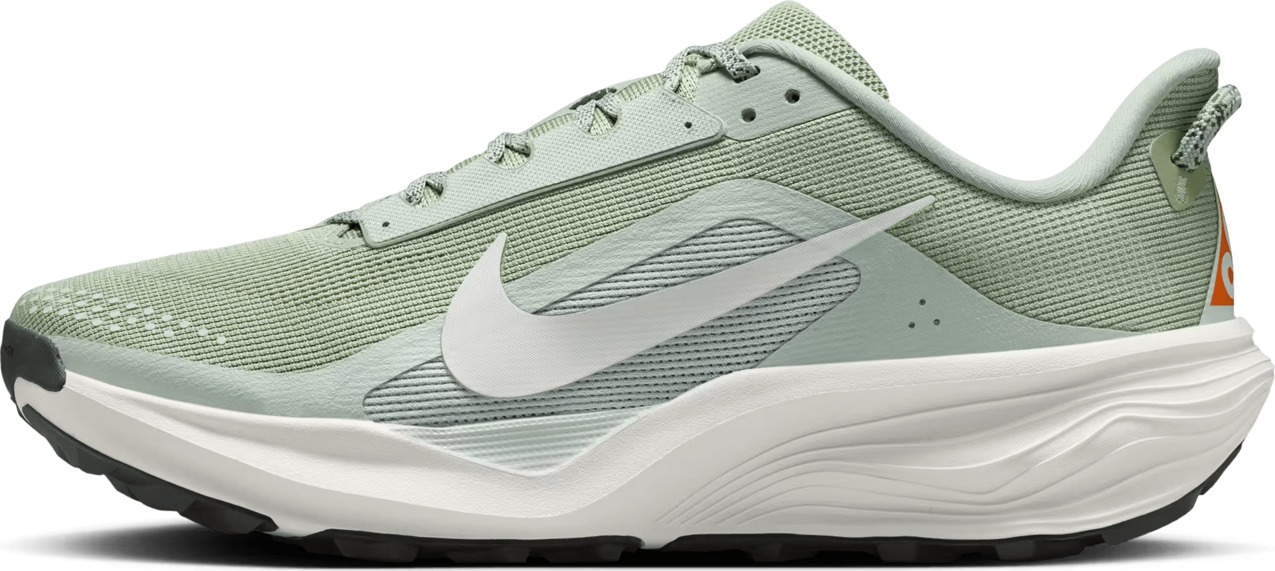 Nike ACG Pegasus Trail