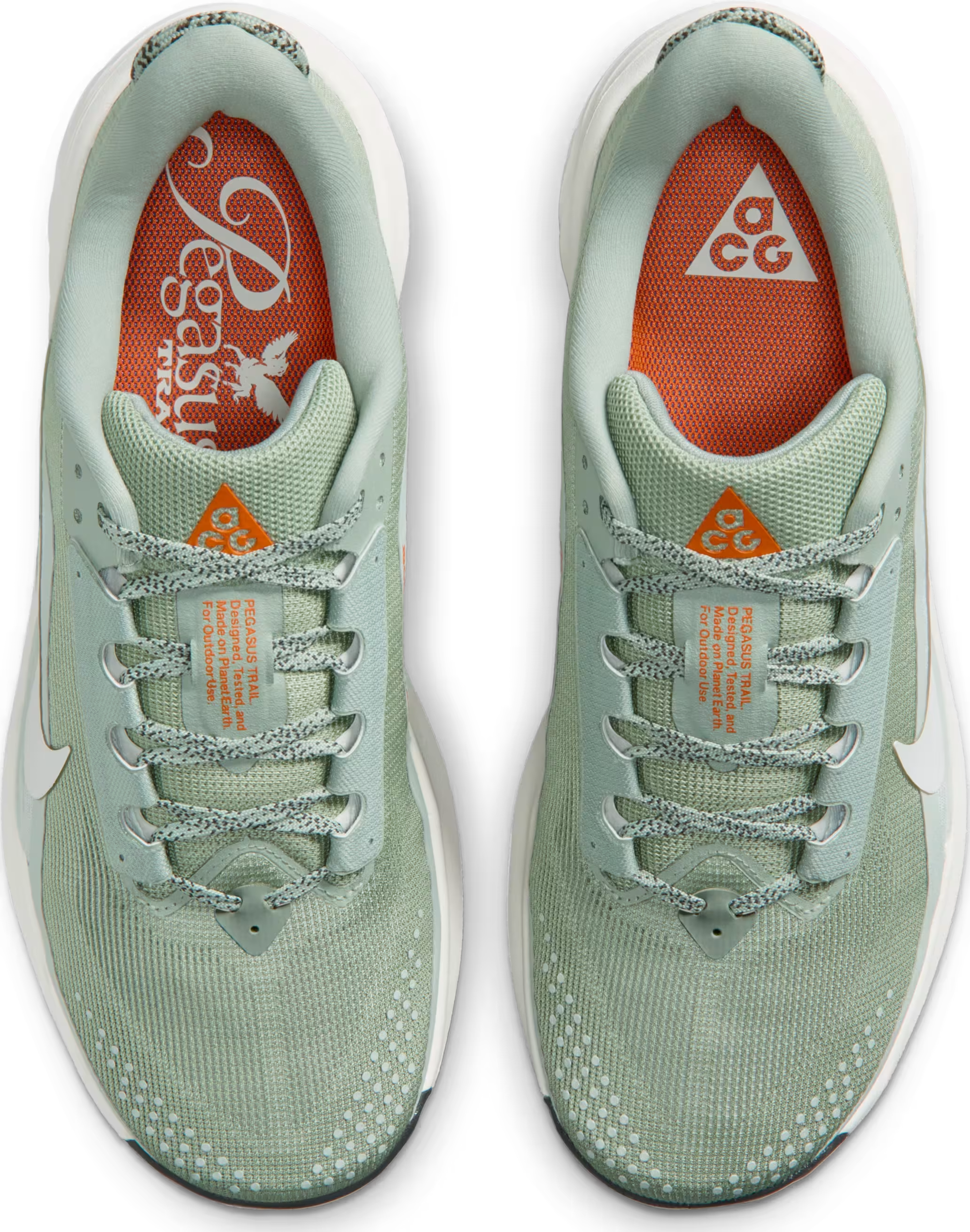 Nike ACG Pegasus Trail
