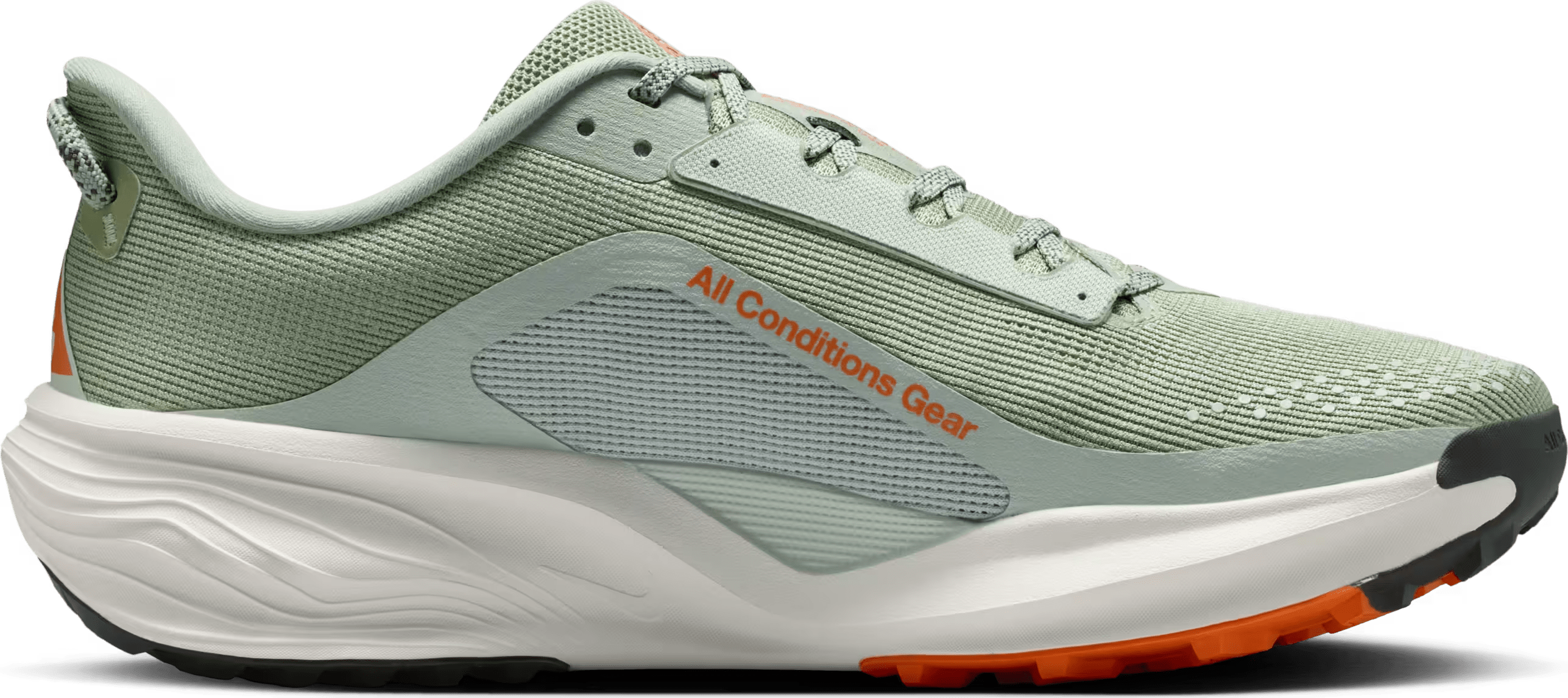 Nike ACG Pegasus Trail
