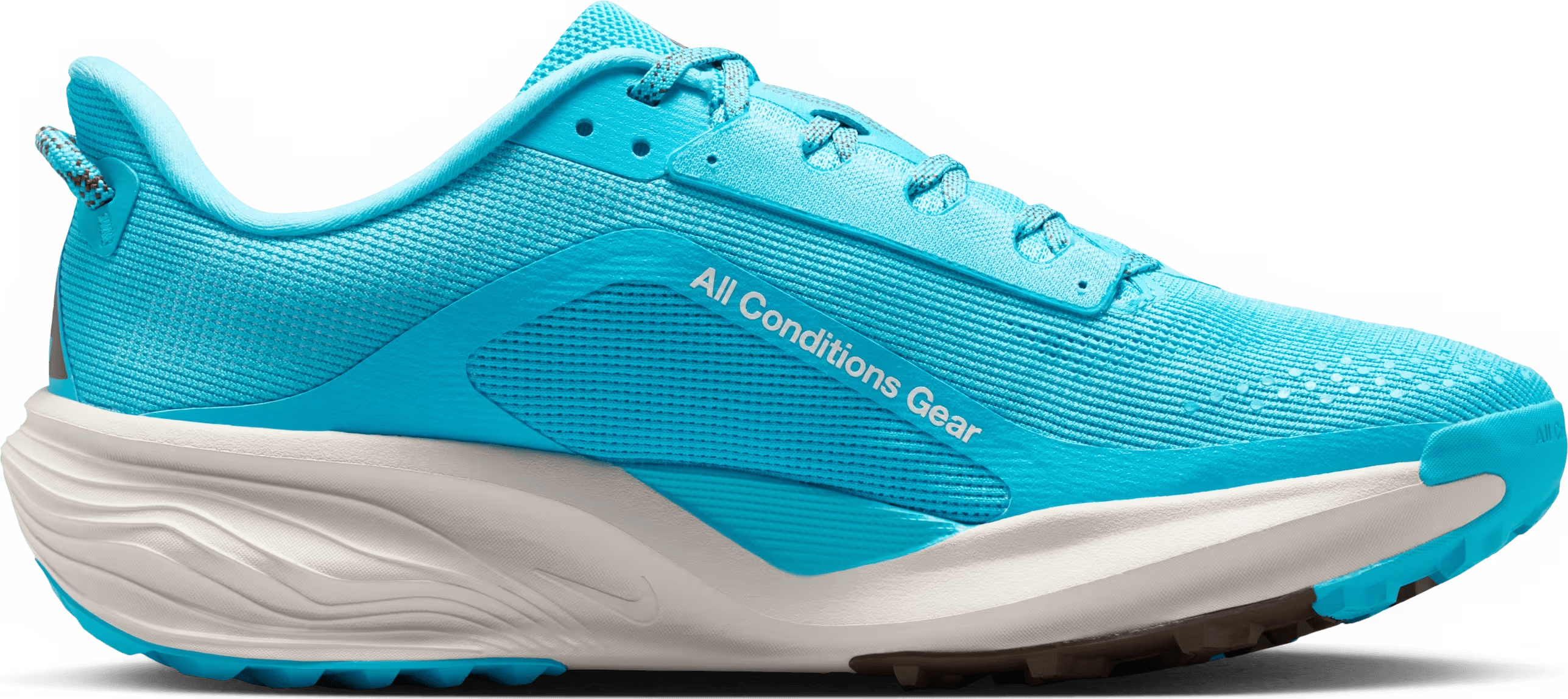 Nike ACG Pegasus Trail