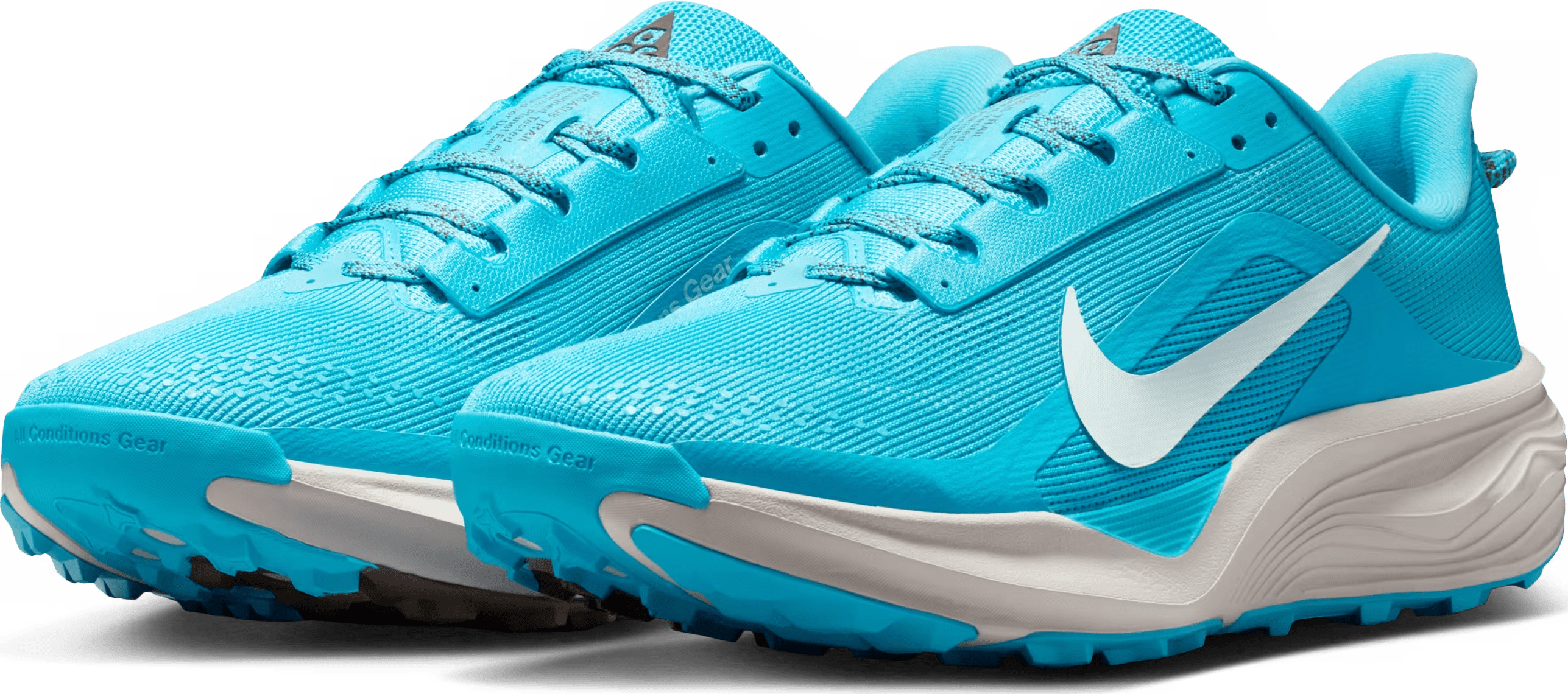 Nike ACG Pegasus Trail