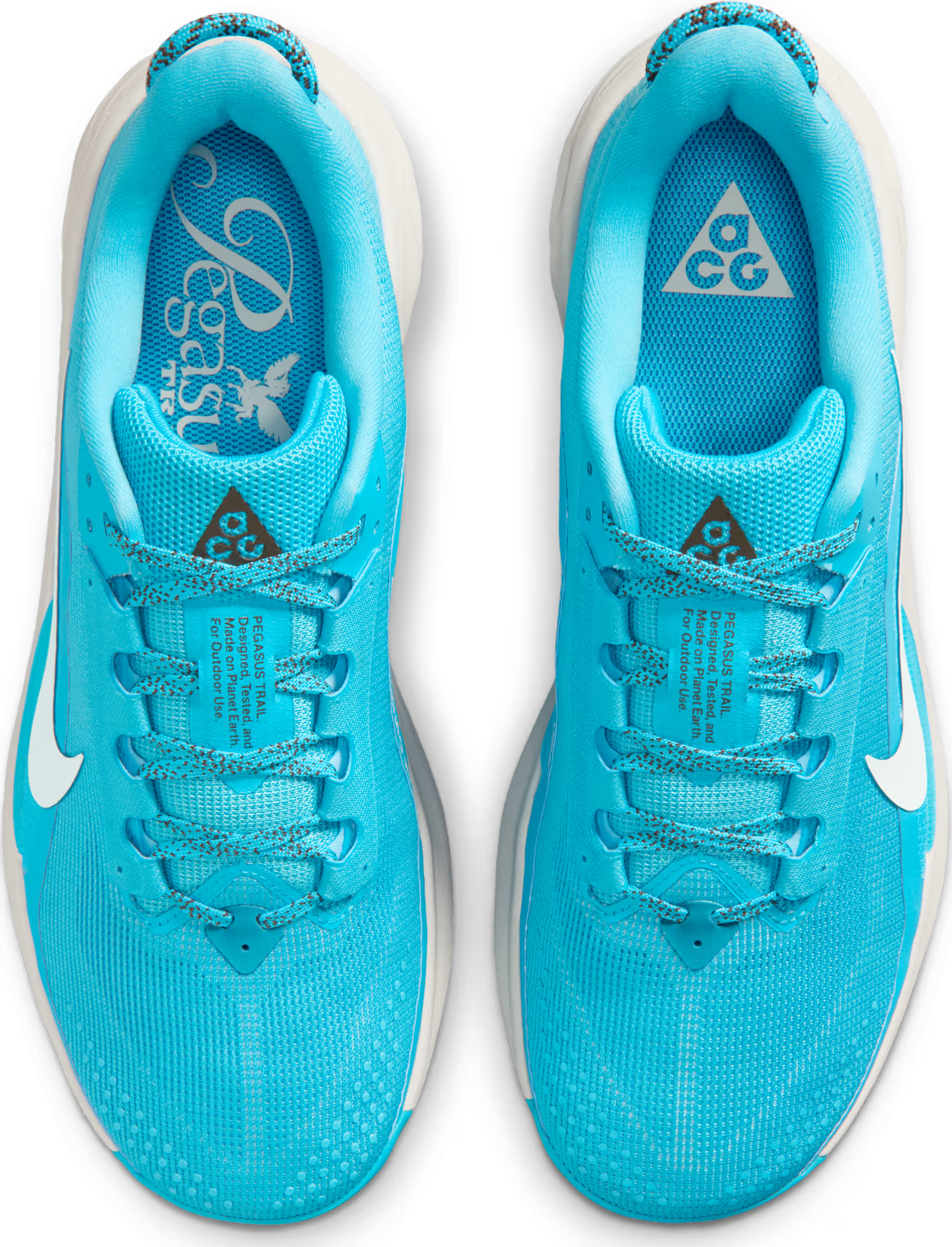 Nike ACG Pegasus Trail