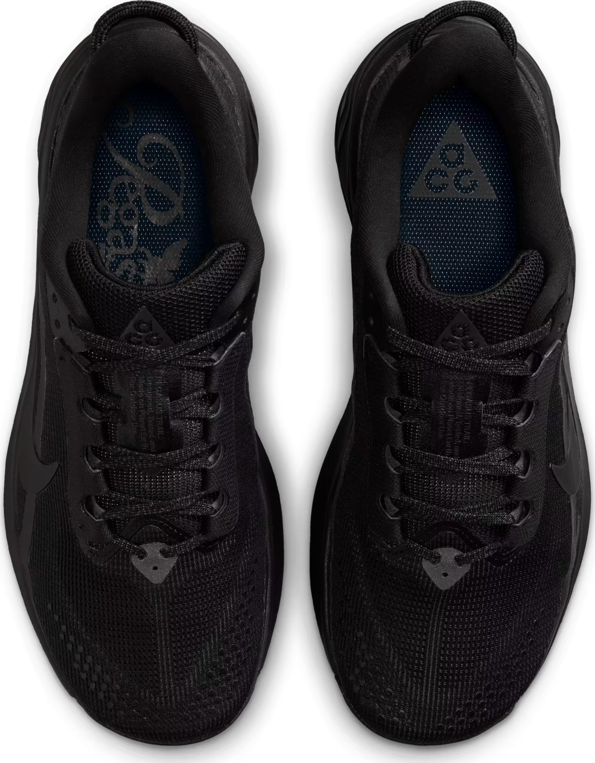 Nike ACG Pegasus Trail
