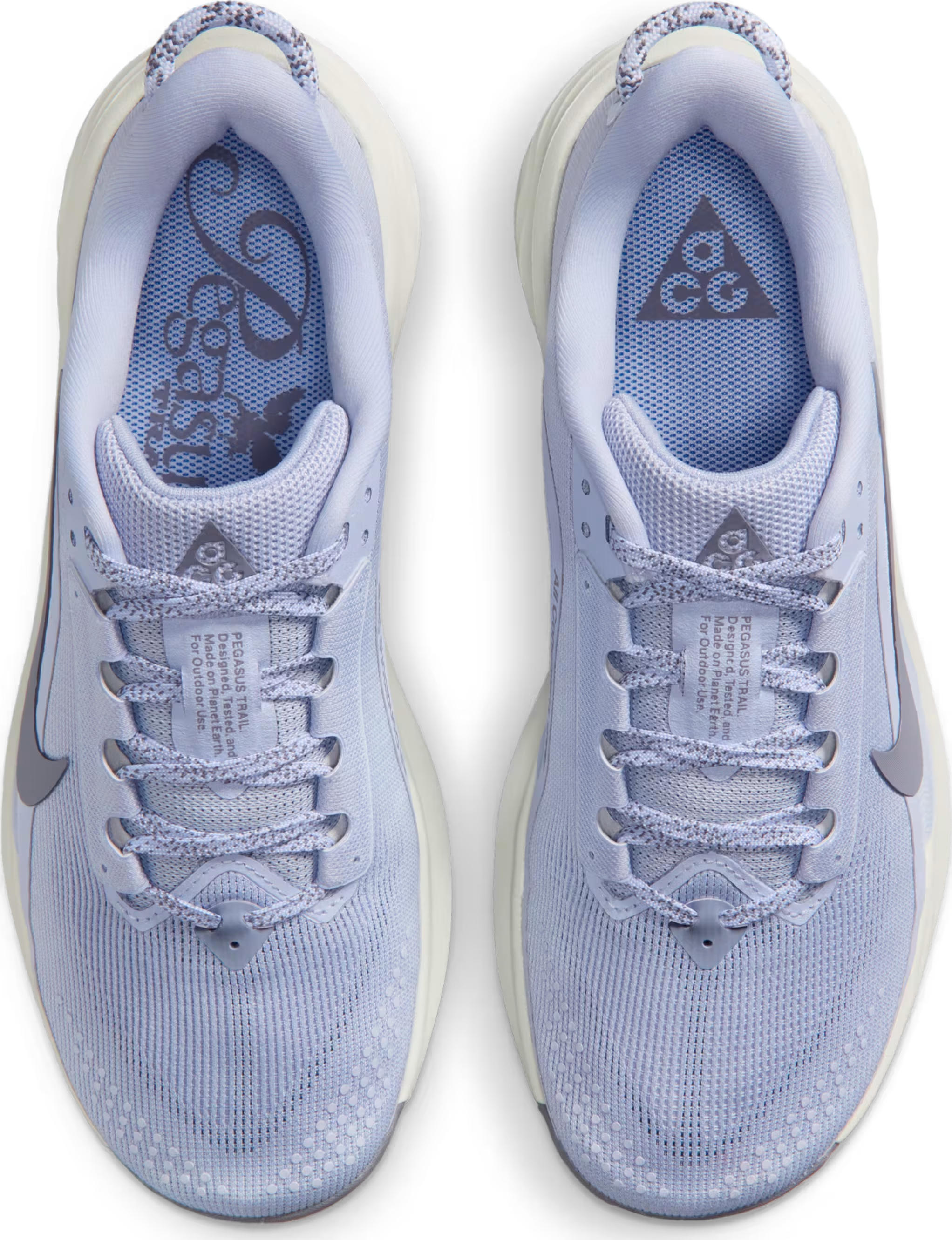 Nike ACG Pegasus Trail