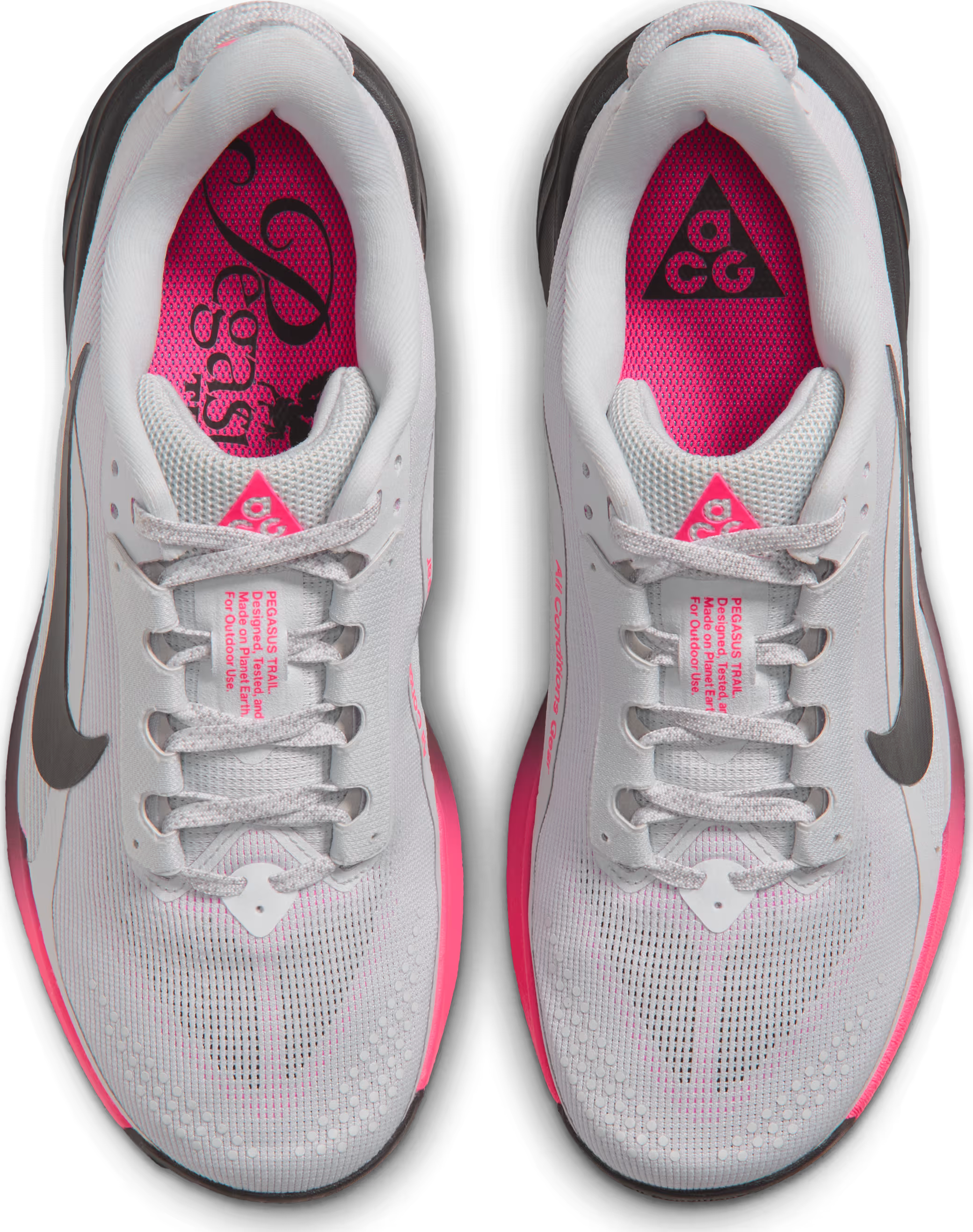 Nike ACG Pegasus Trail