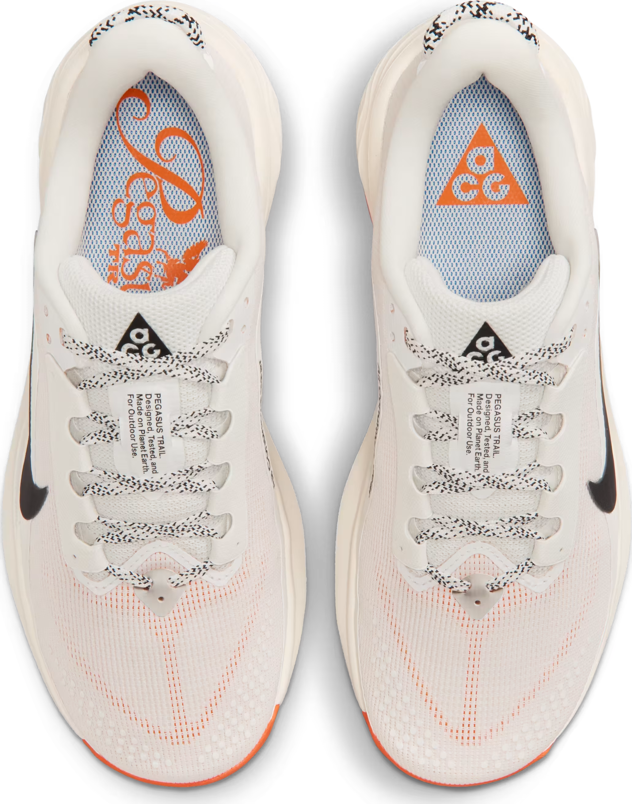 Nike ACG Pegasus Trail