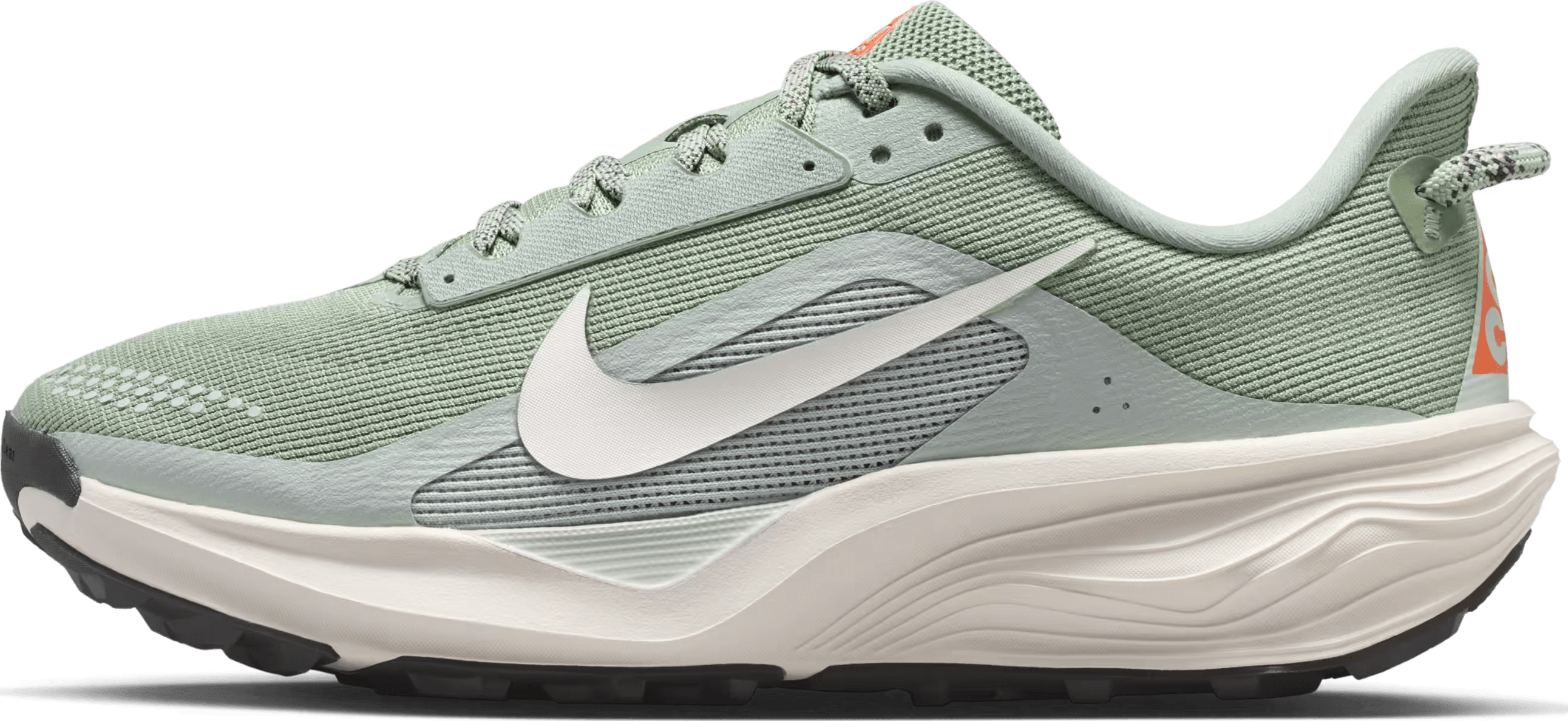 Nike ACG Pegasus Trail Jade Horizon Light Silver (Women's)