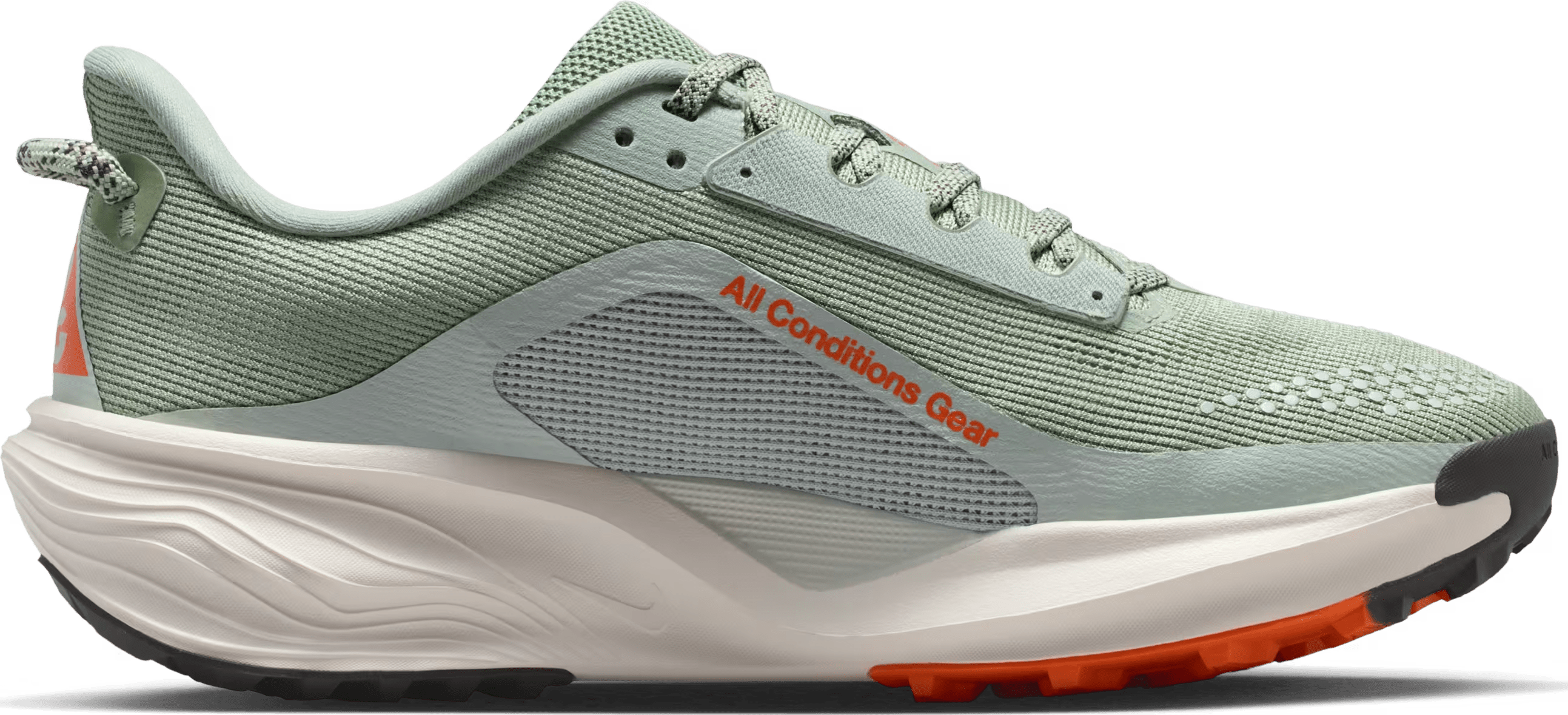 Nike ACG Pegasus Trail Jade Horizon Light Silver (Women's)