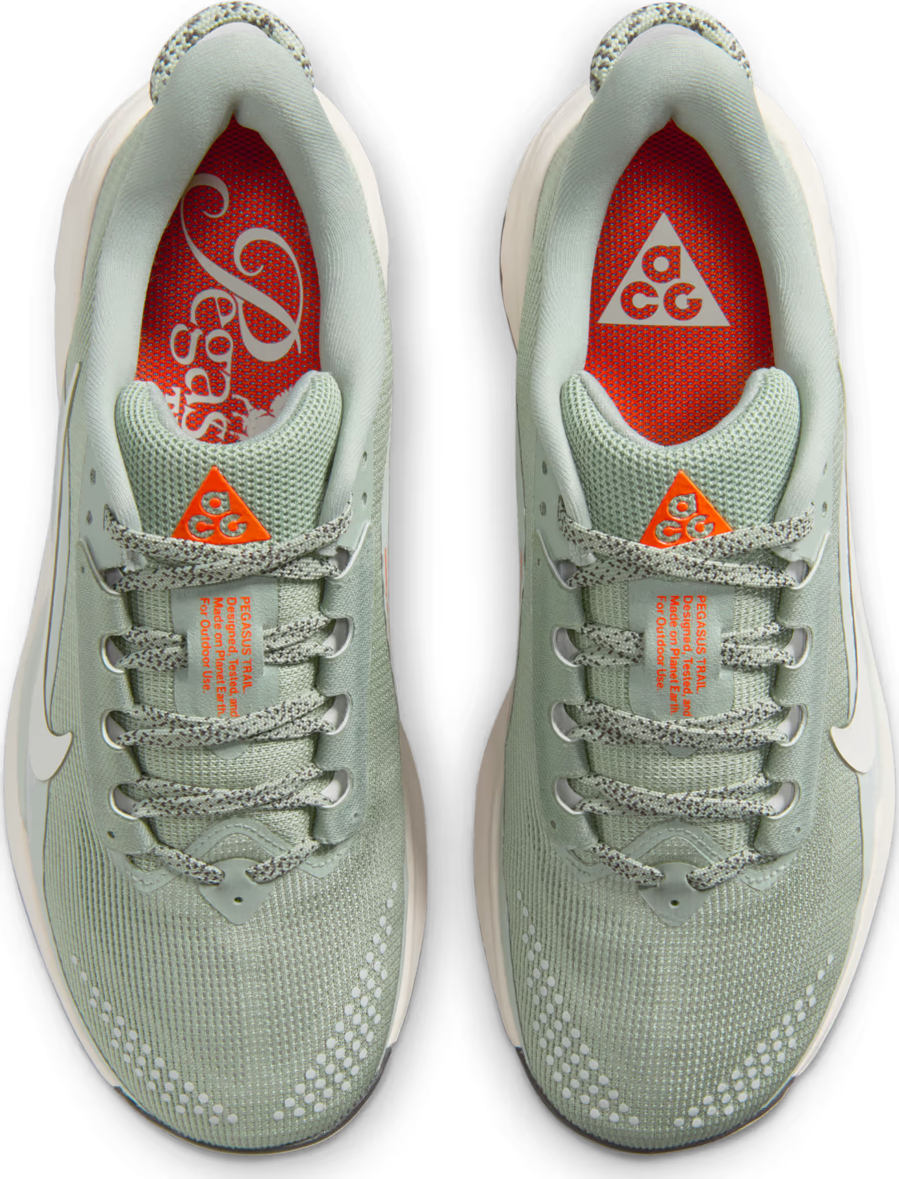 Nike ACG Pegasus Trail Jade Horizon Light Silver (Women's)