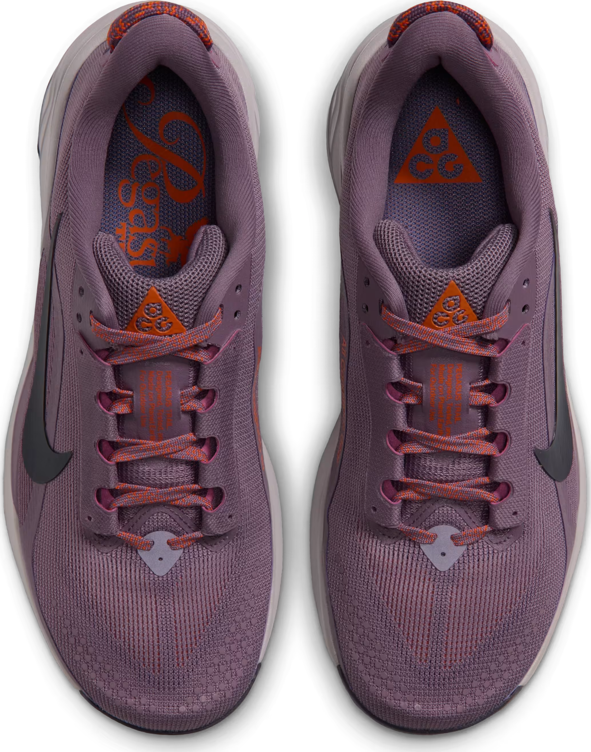 Nike ACG Pegasus Trail