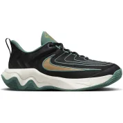 Nike Giannis Immortality 4 Black Bicoastal Pale Ivory Metallic Gold (GS)