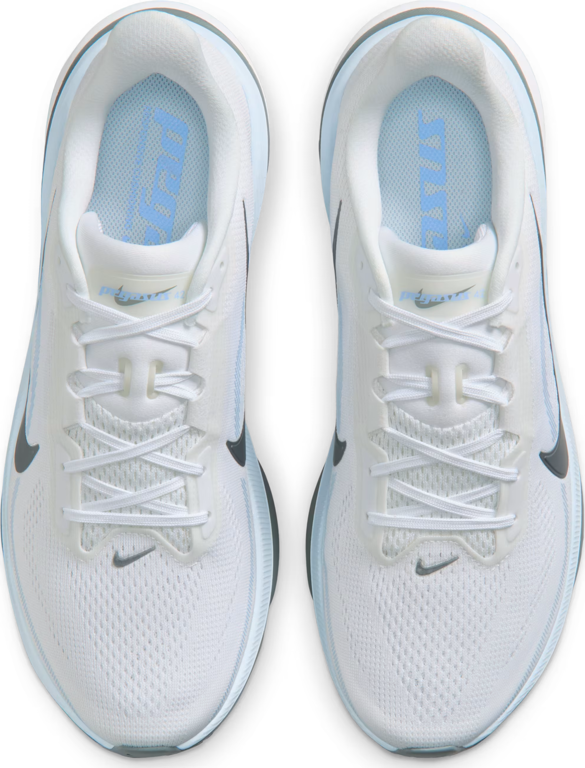 Nike Pegasus 42 "Aluminum"