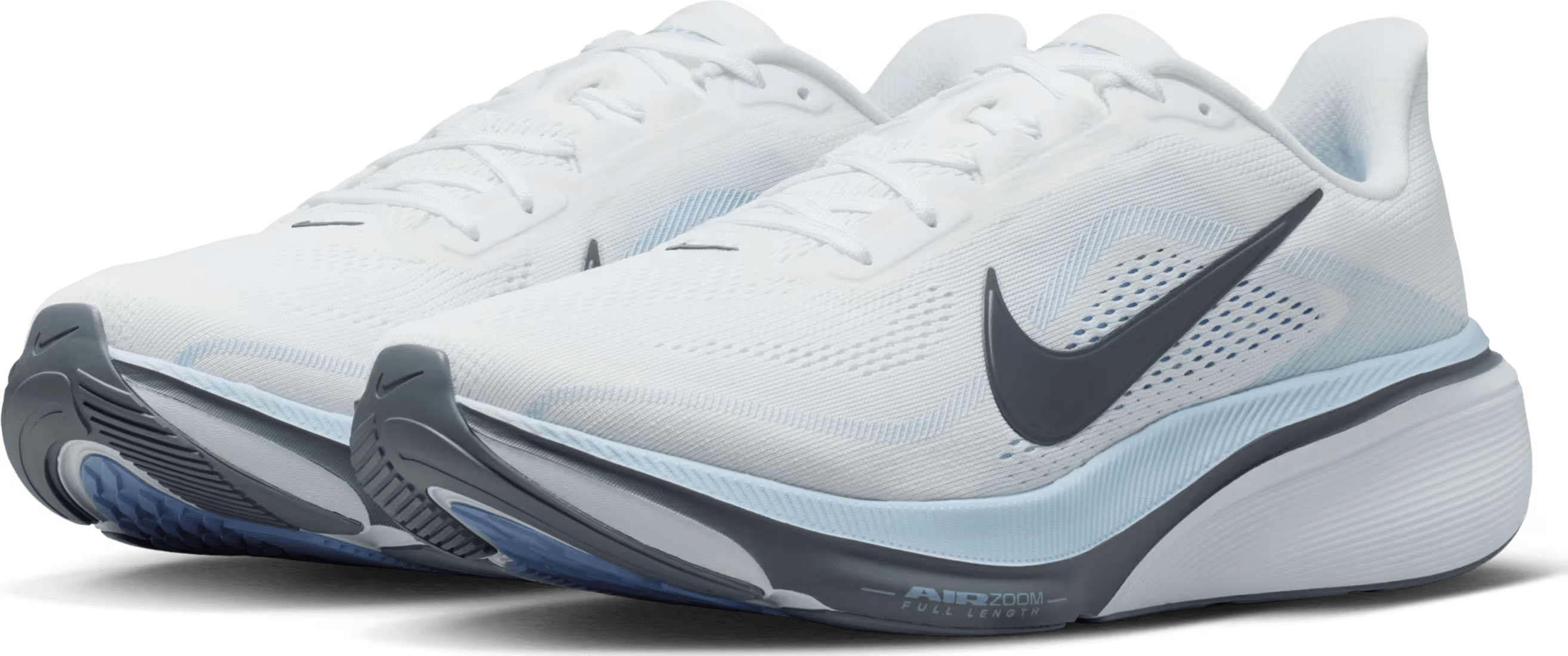 Nike Pegasus 42 "Aluminum"