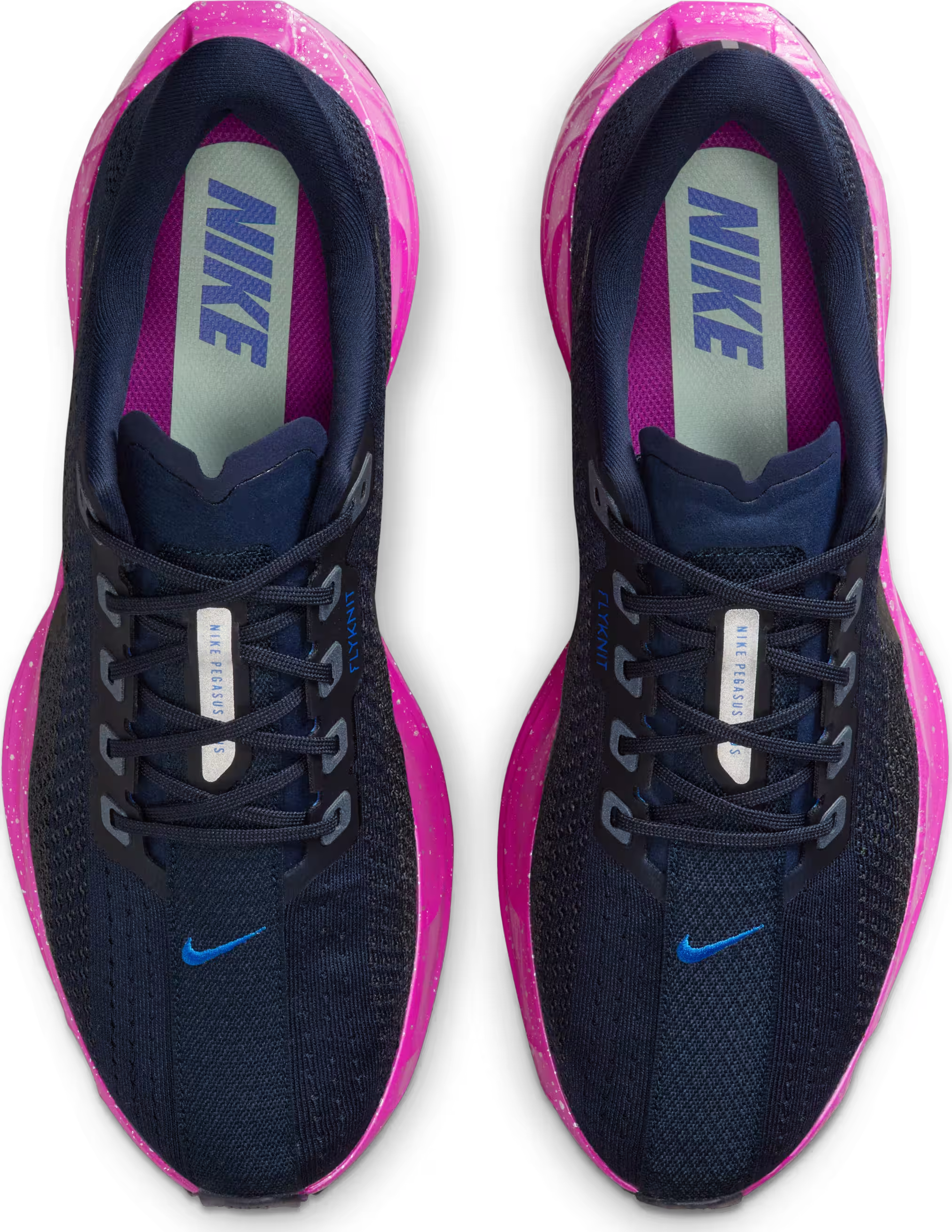 Nike Pegasus Plus SE "Obsidian Hyper Violet"