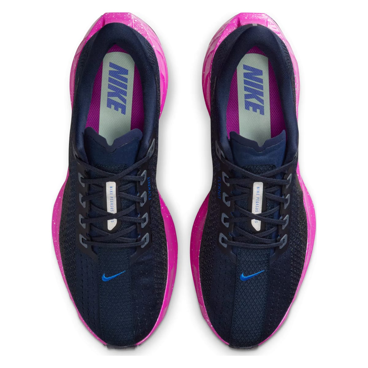 Nike Pegasus Plus SE "Obsidian Hyper Violet"
