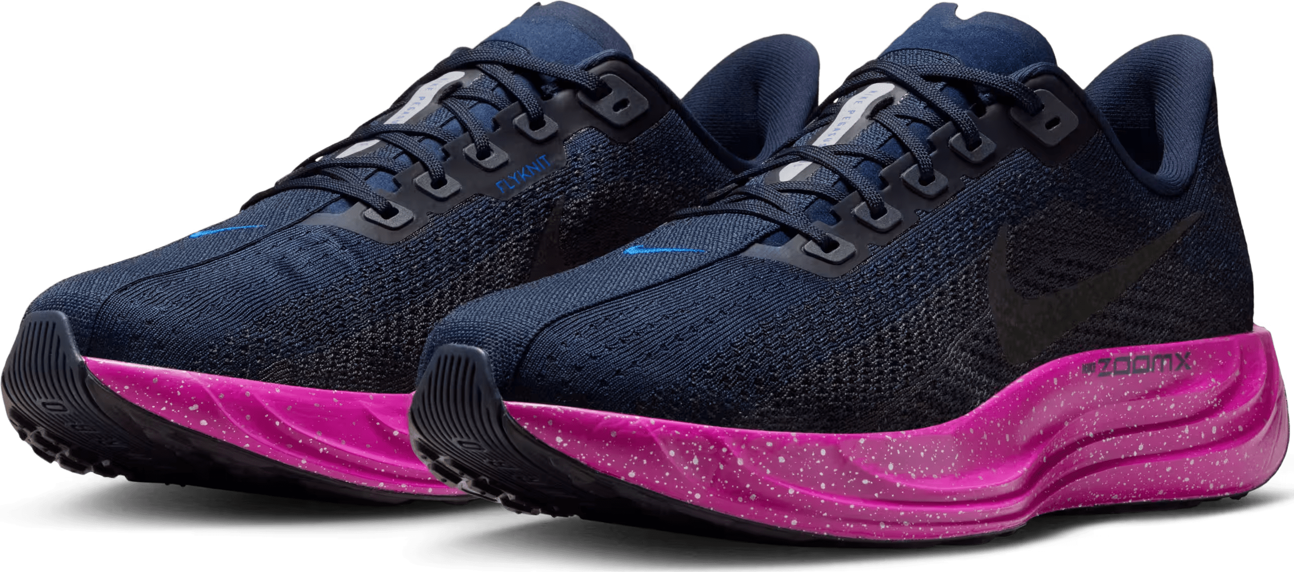 Nike Pegasus Plus SE "Obsidian Hyper Violet"