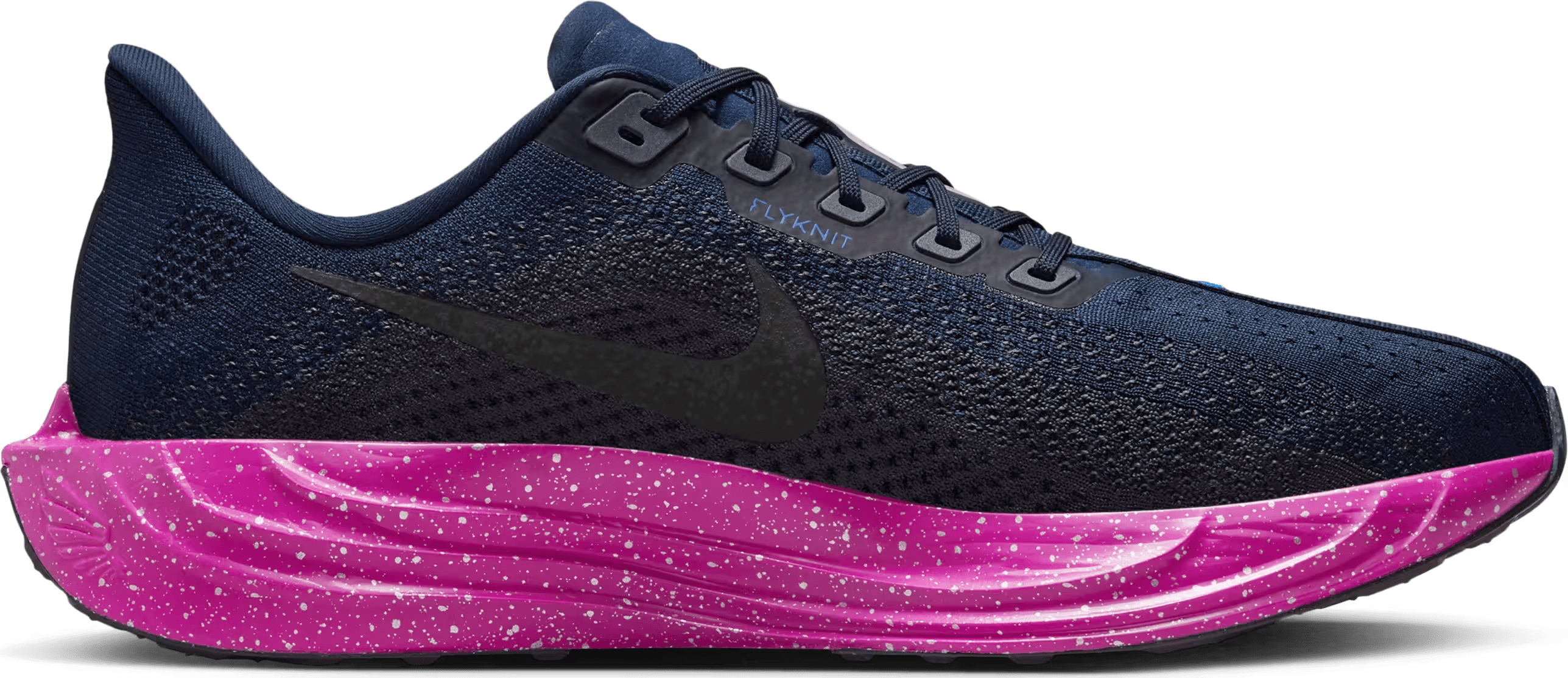 Nike Pegasus Plus SE "Obsidian Hyper Violet"