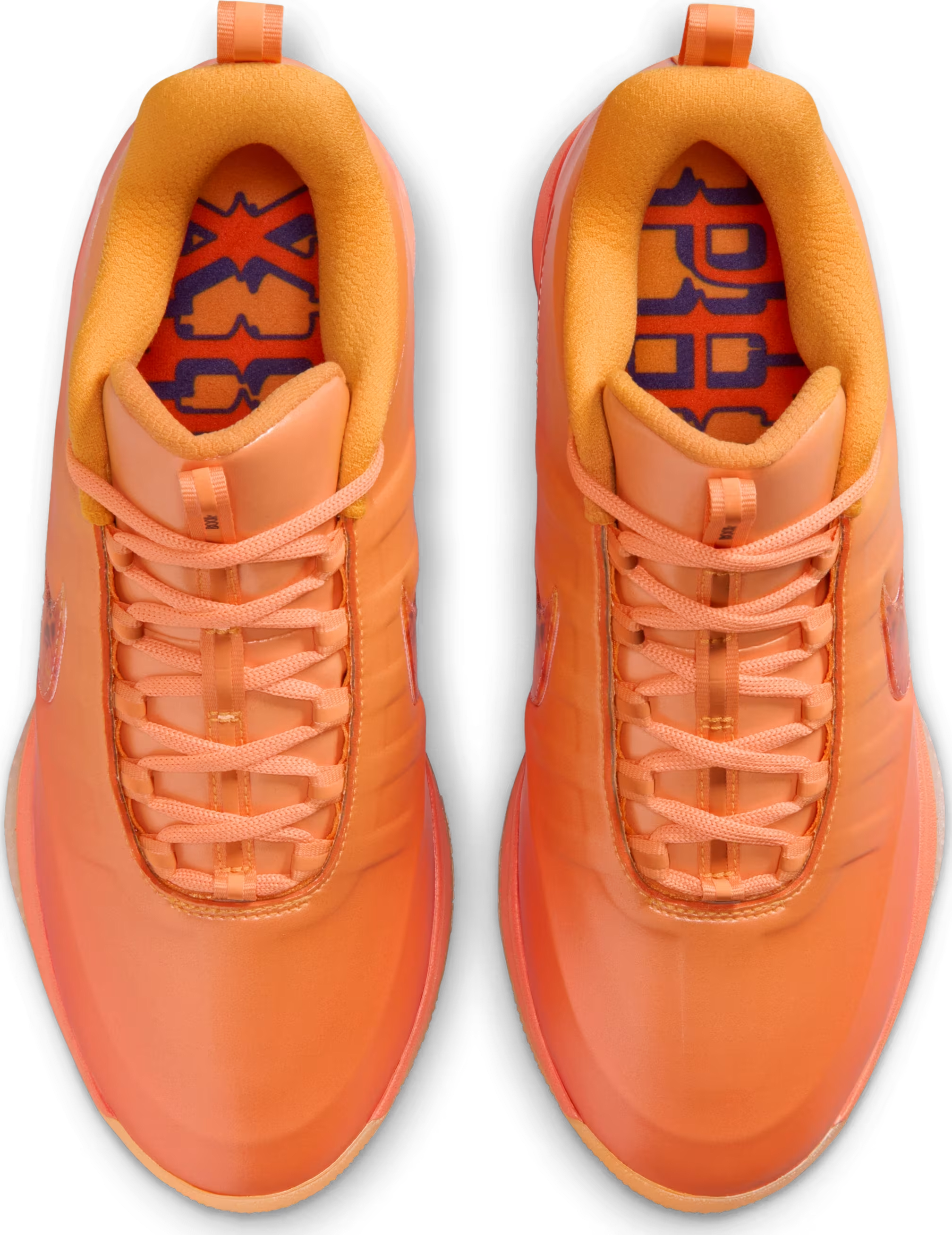 Nike Book 2 "The Phoenix"