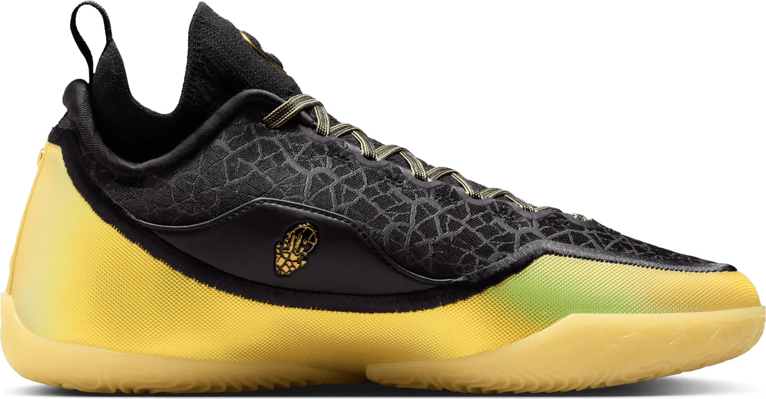 Nike LeBron XXIII Elite "Hurt Feelings"