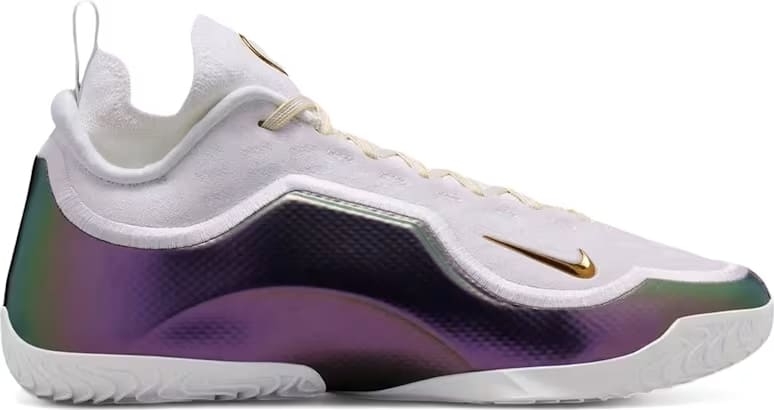 Nike LeBron XXIII Elite "For the Record"