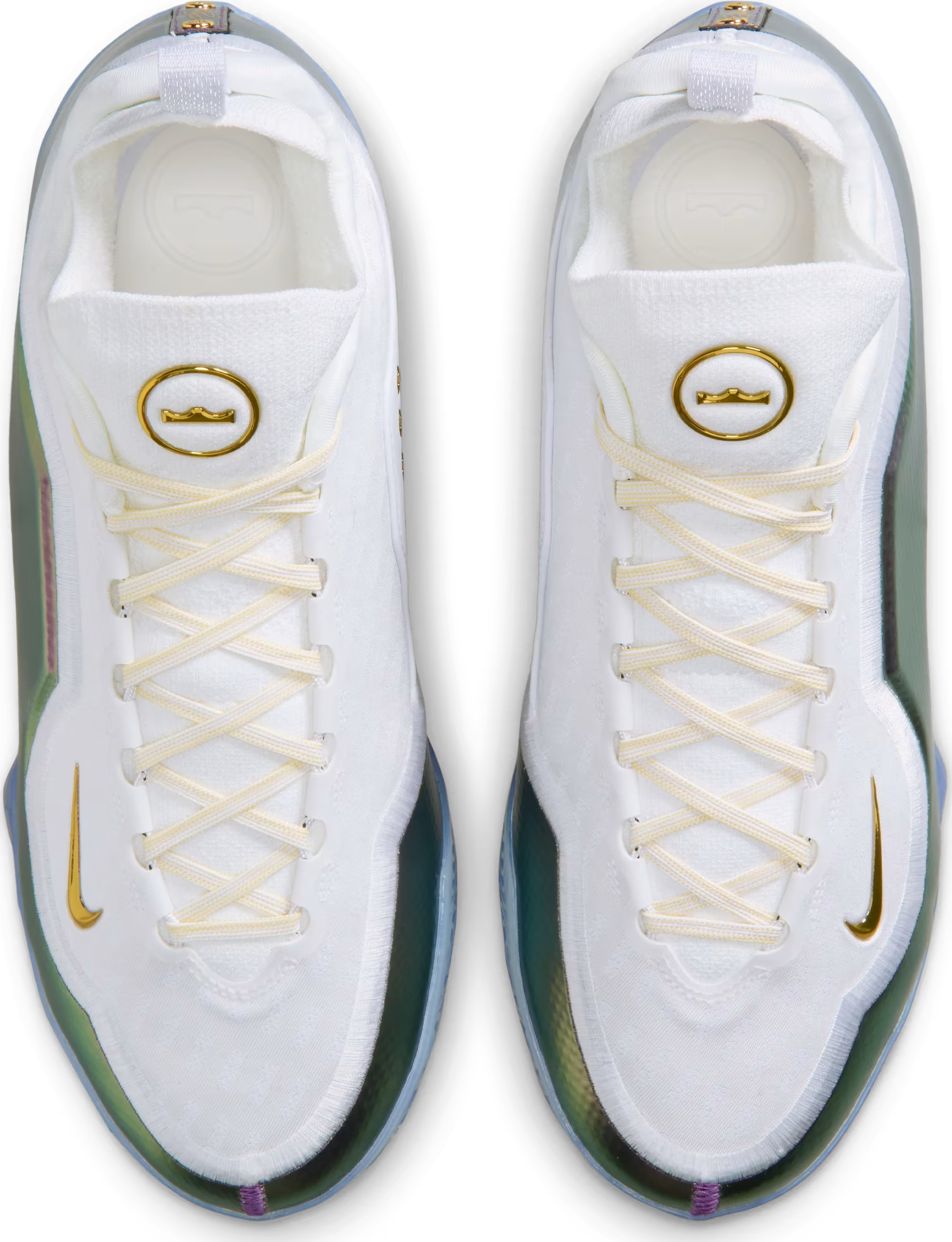Nike LeBron XXIII Elite "For the Record"