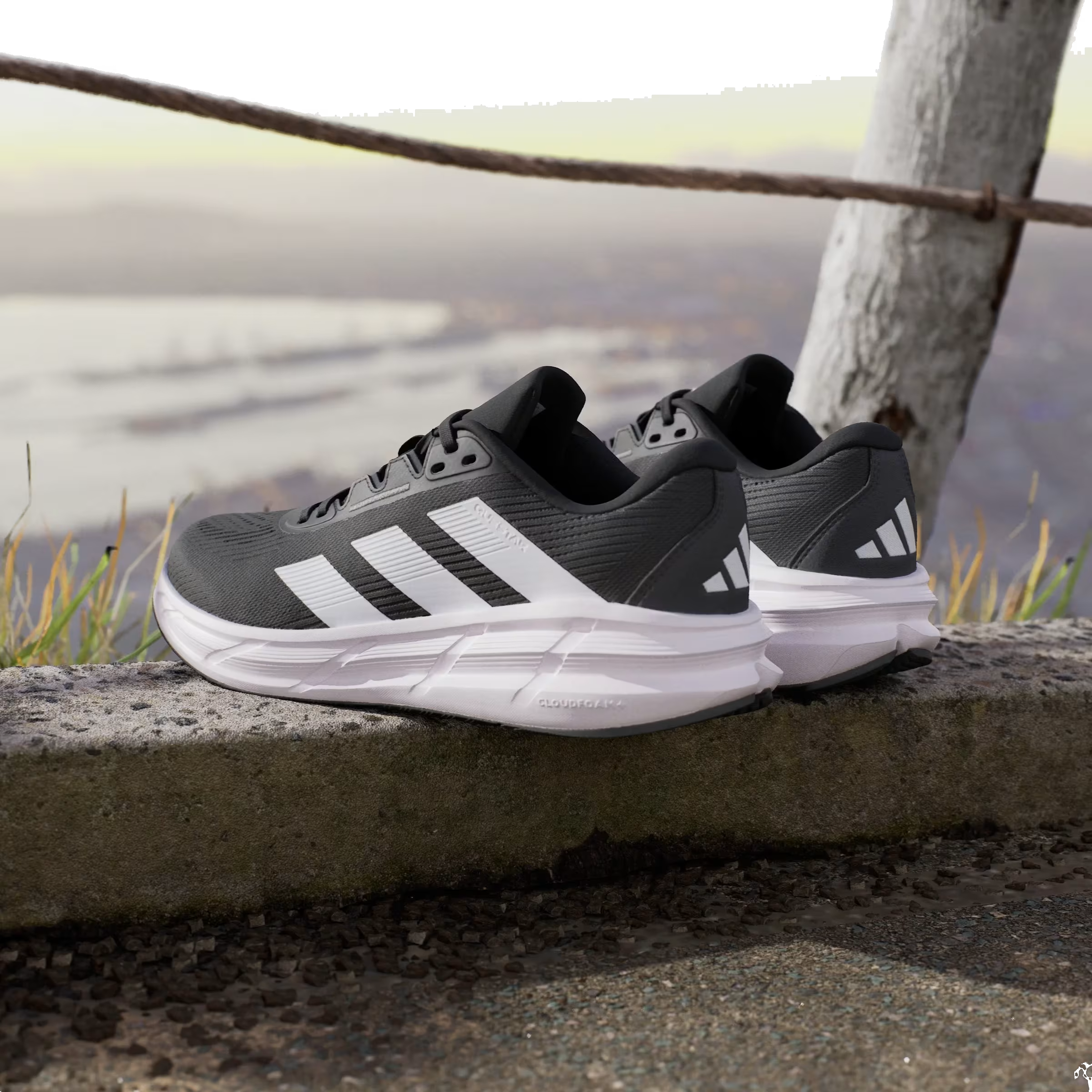 adidas Questar 3 Black White Carbon