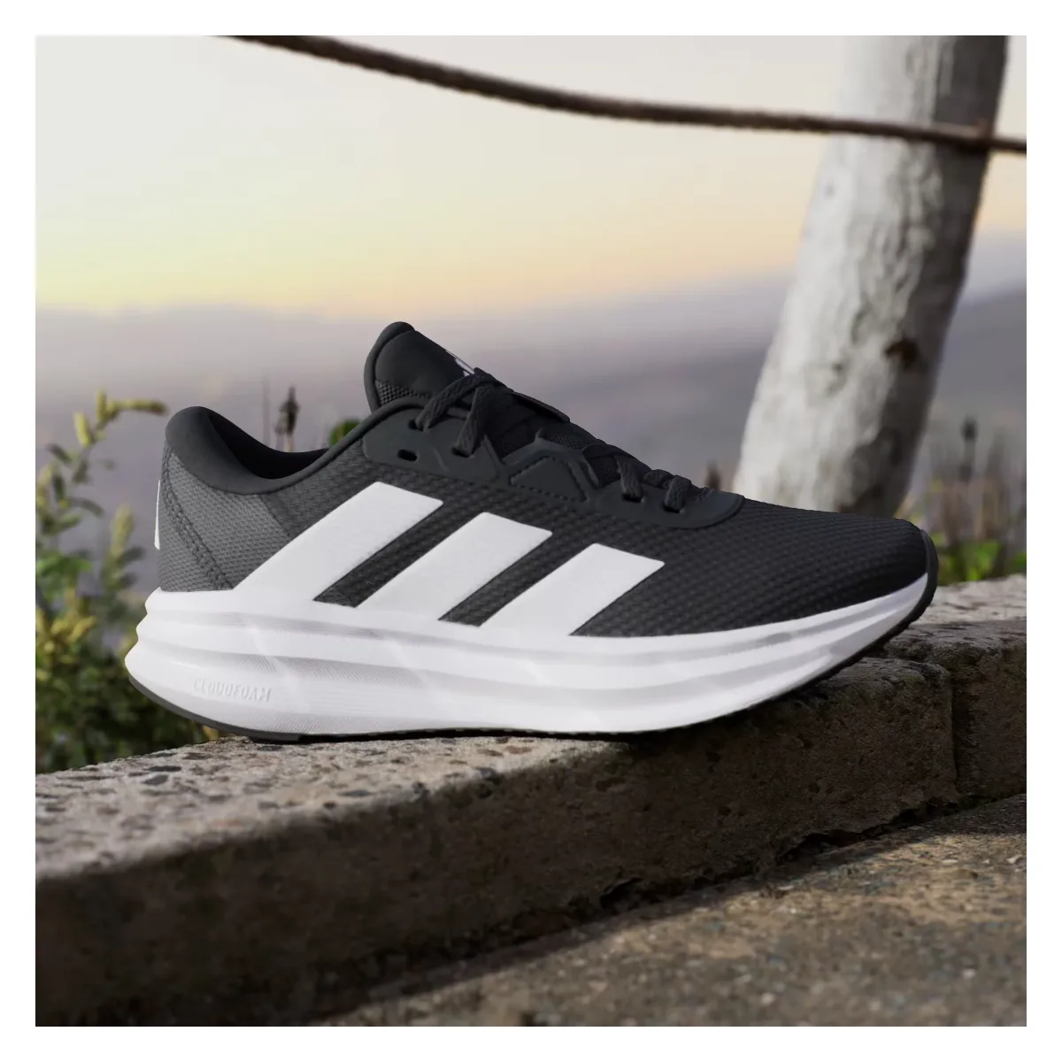 adidas Galaxy 7 Core Black Cloud White Carbon (Women's)