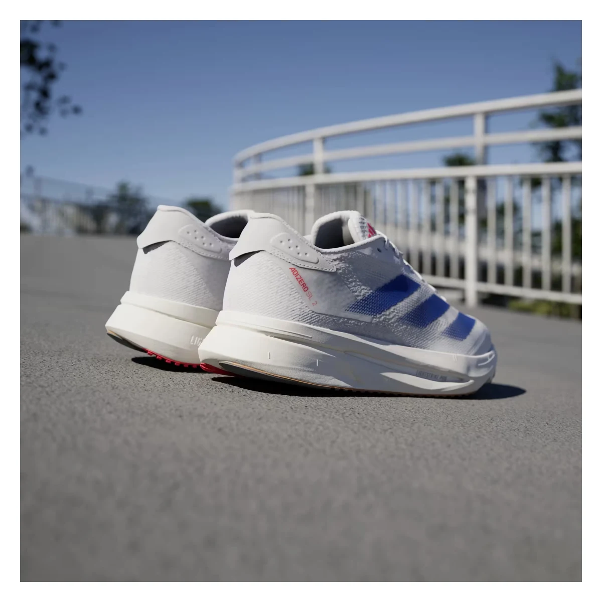adidas Adizero SL 2 Cloud White Royal Blue Pure Ruby