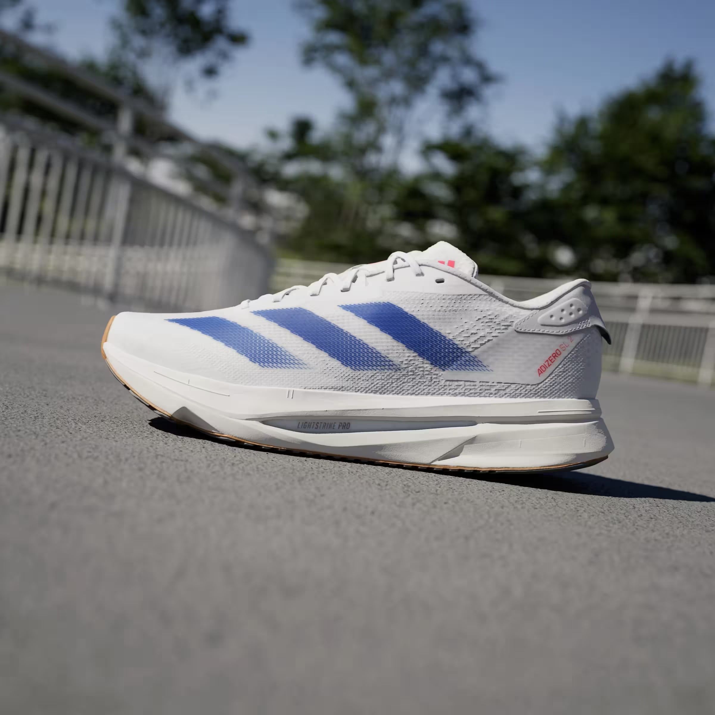 adidas Adizero SL 2 Cloud White Royal Blue Pure Ruby
