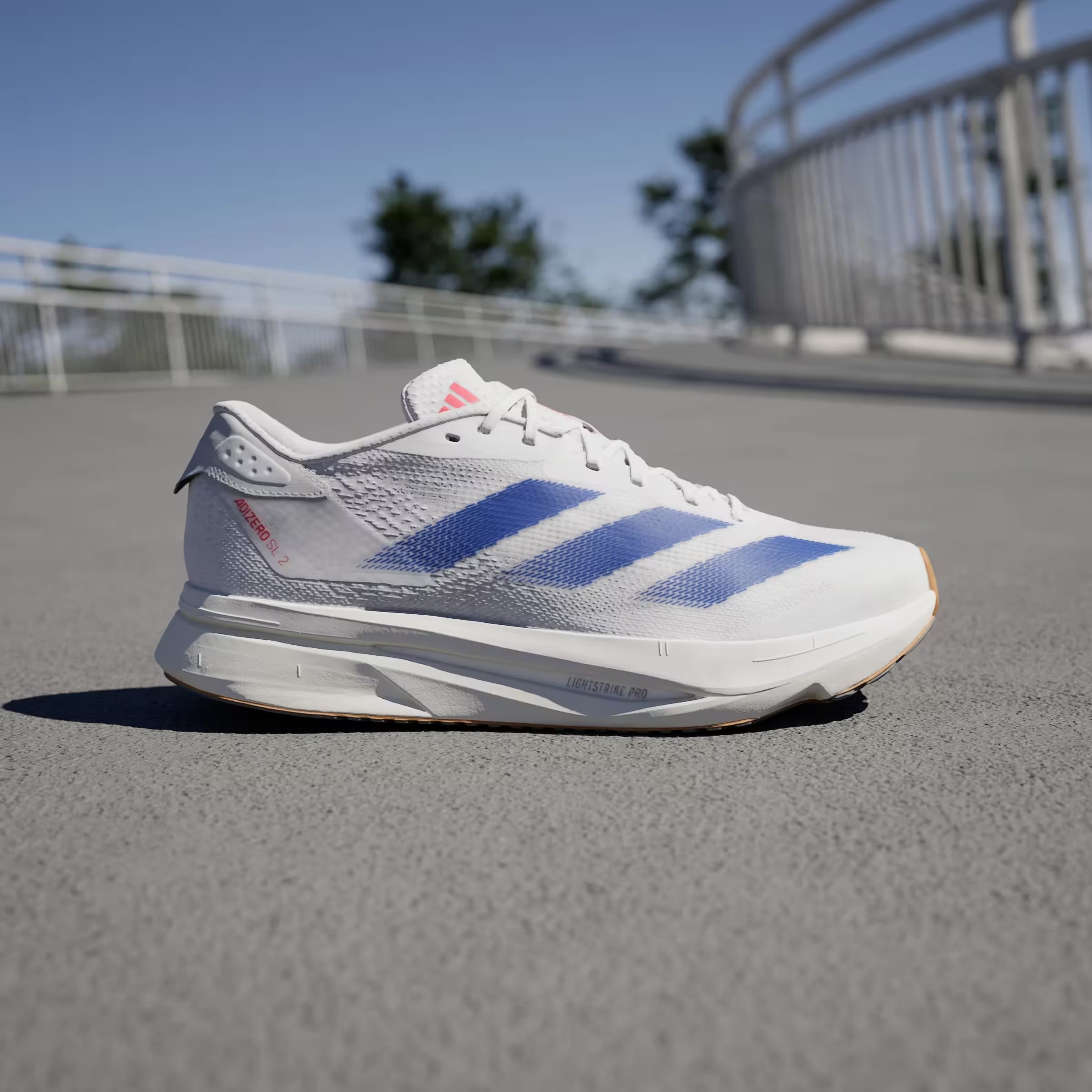 adidas Adizero SL 2 Cloud White Royal Blue Pure Ruby
