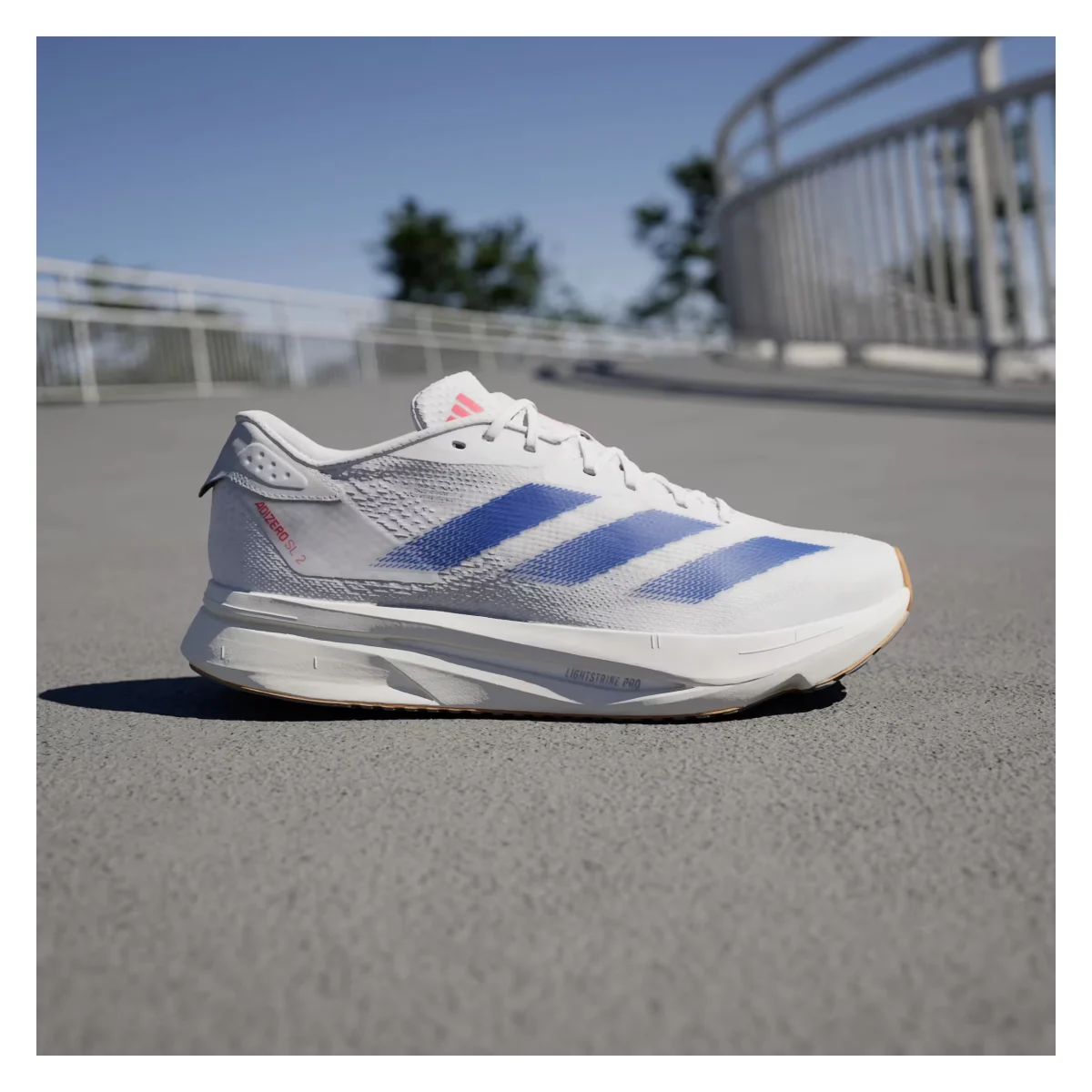 adidas Adizero SL 2 Cloud White Royal Blue Pure Ruby