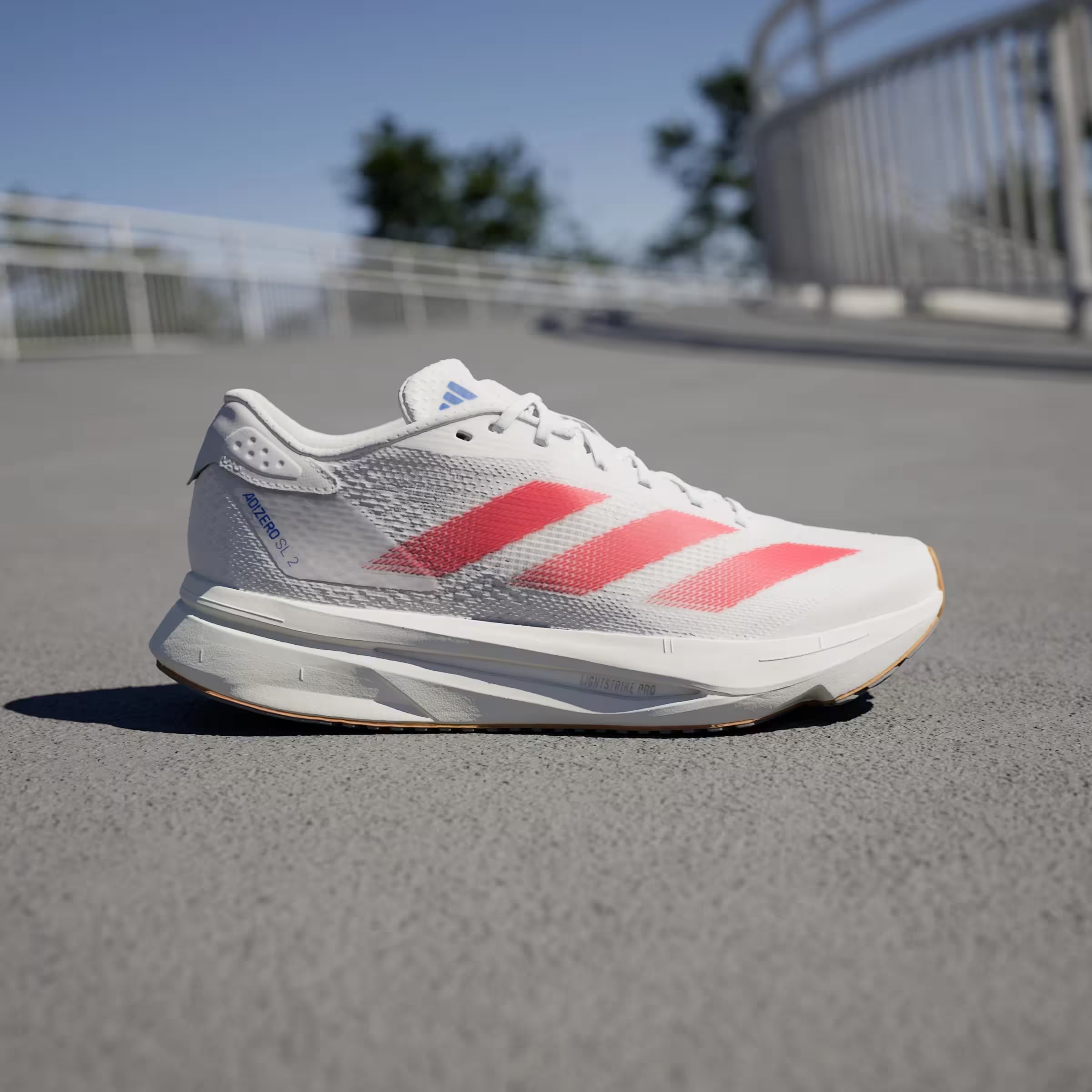 adidas Adizero SL 2 Cloud White Pure Ruby Royal Blue (Women's)