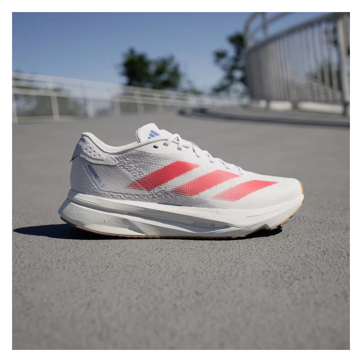 adidas Adizero SL 2 Cloud White Pure Ruby Royal Blue (Women's)
