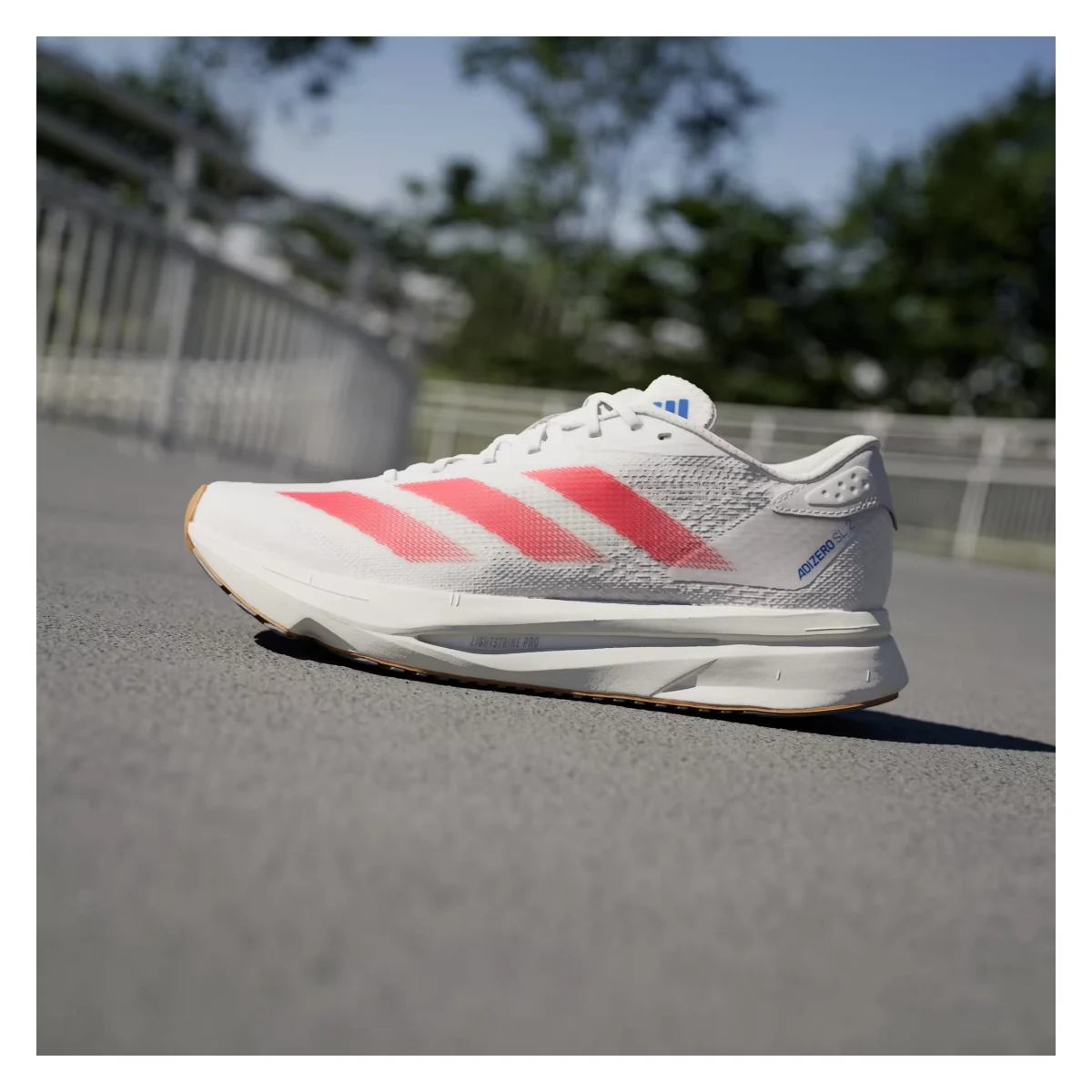 adidas Adizero SL 2 Cloud White Pure Ruby Royal Blue (Women's)