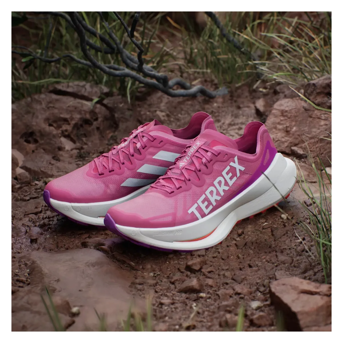 adidas Terrex Agravic Speed Ultra Trail Pink Fusion White Purple Burst (Women's)