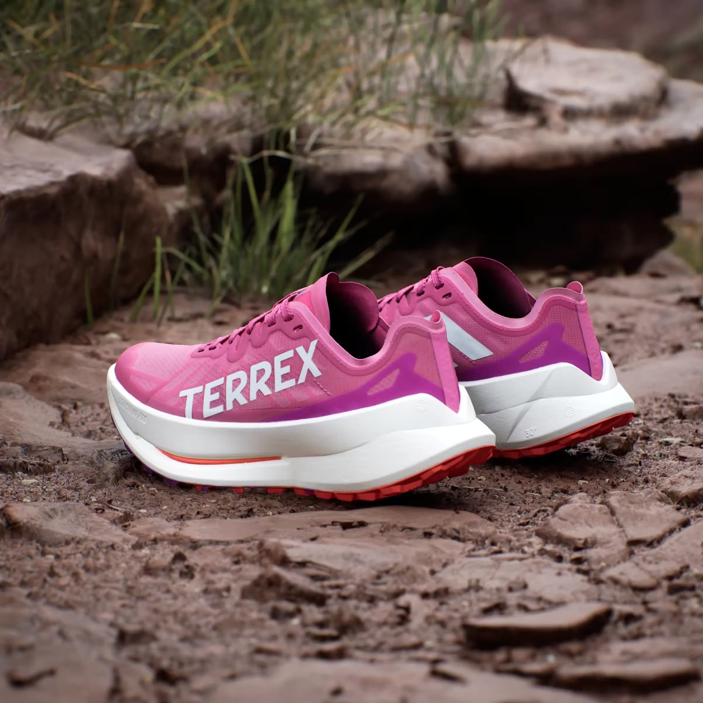 adidas Terrex Agravic Speed Ultra Trail Pink Fusion White Purple Burst (Women's)
