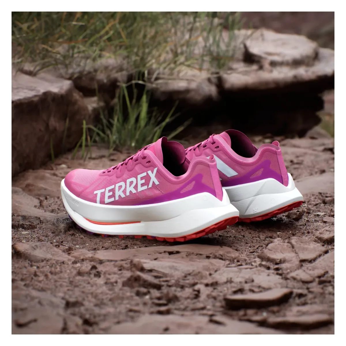 adidas Terrex Agravic Speed Ultra Trail Pink Fusion White Purple Burst (Women's)