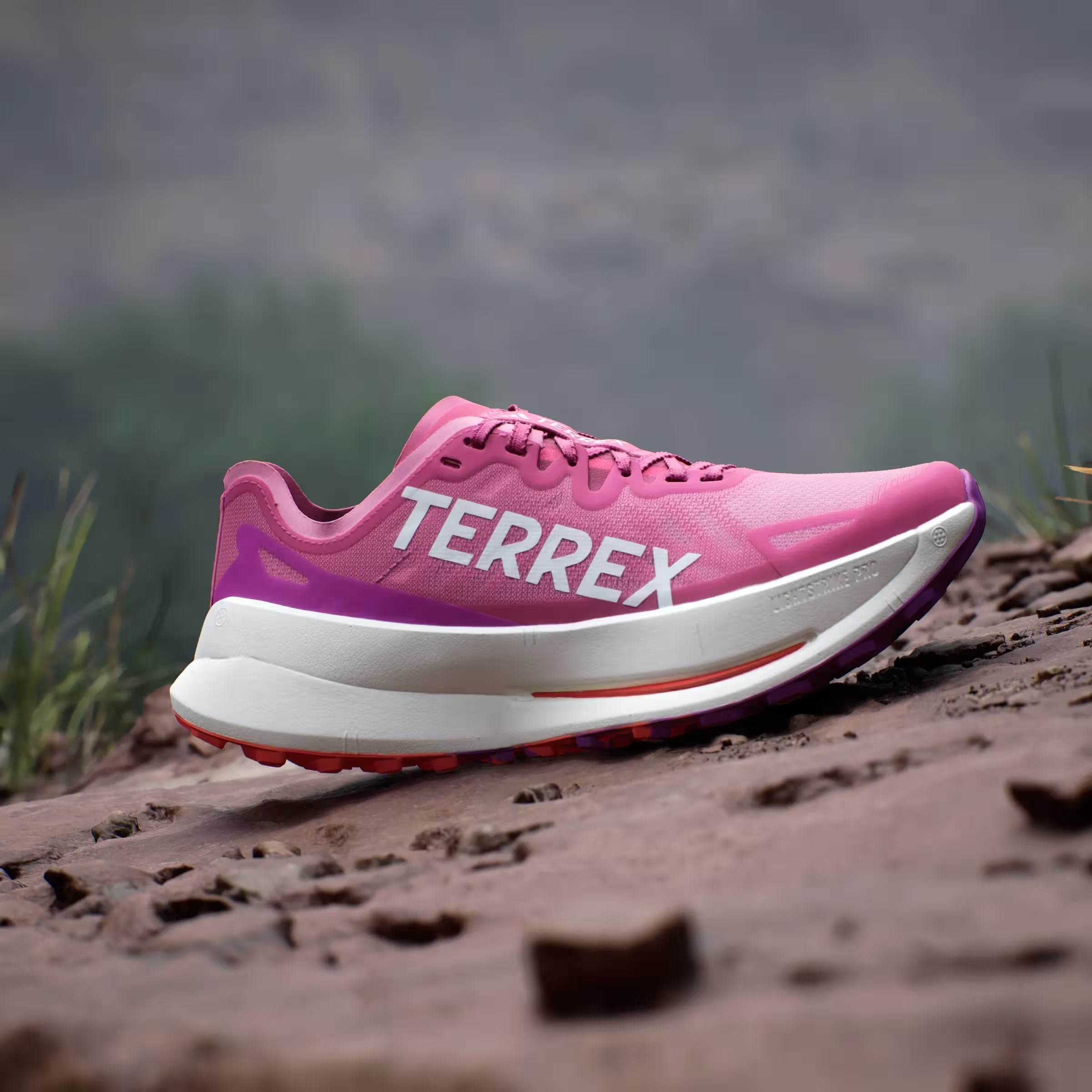 adidas Terrex Agravic Speed Ultra Trail Pink Fusion White Purple Burst (Women's)