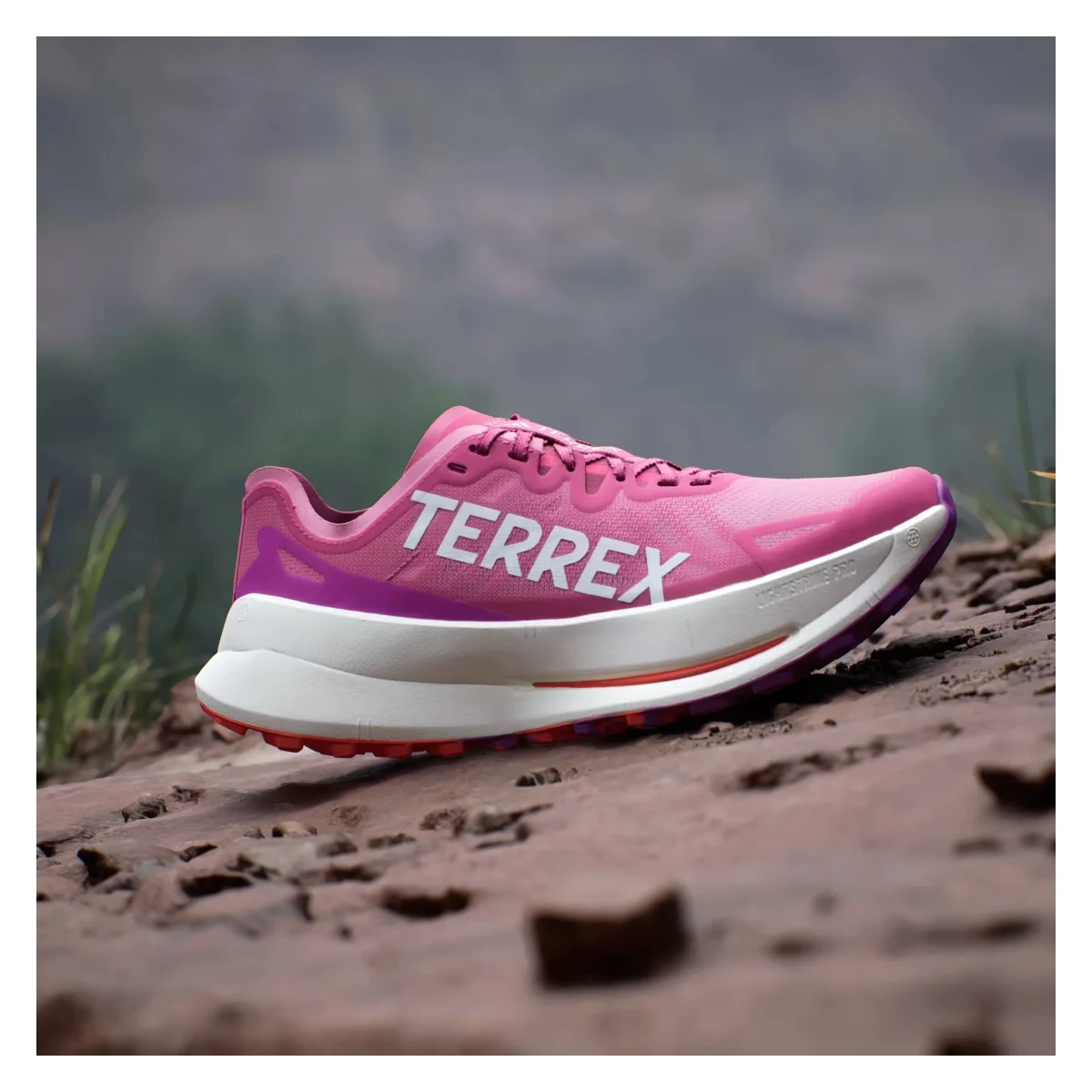 adidas Terrex Agravic Speed Ultra Trail Pink Fusion White Purple Burst (Women's)