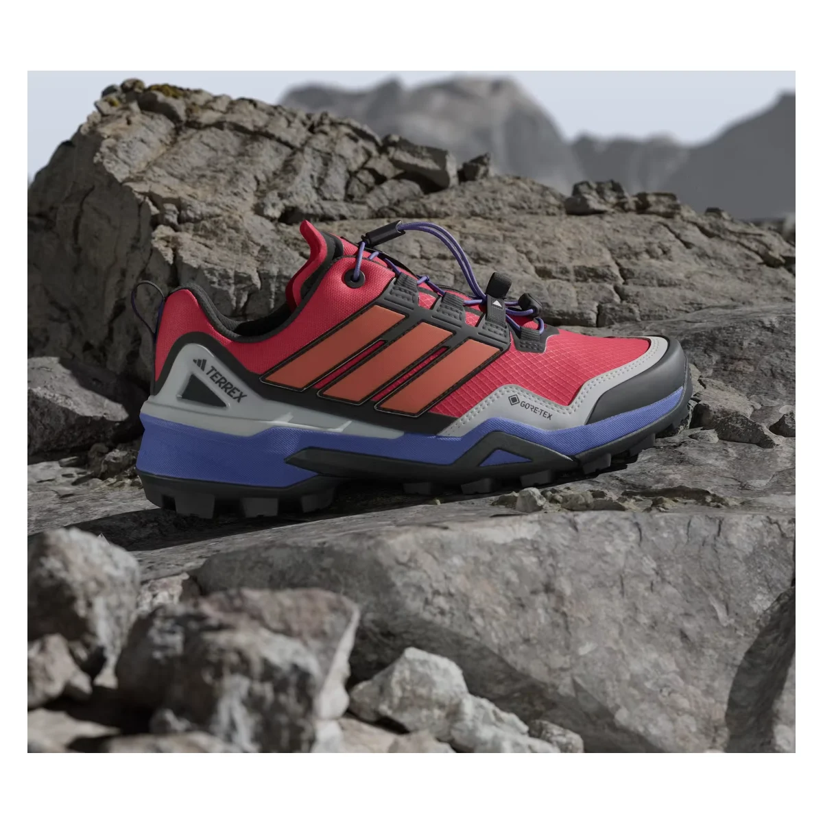 adidas Terrex Skychaser Gore-Tex Pure Ruby Semi Cobalt Blue Core Black (Women's)