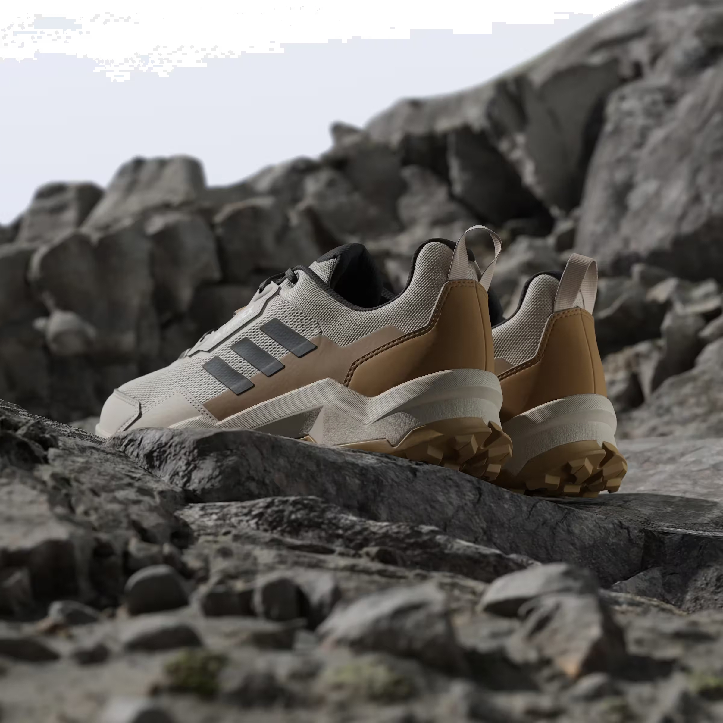 adidas Terrex AX4 Wonder Beige Carbon Pure Ruby