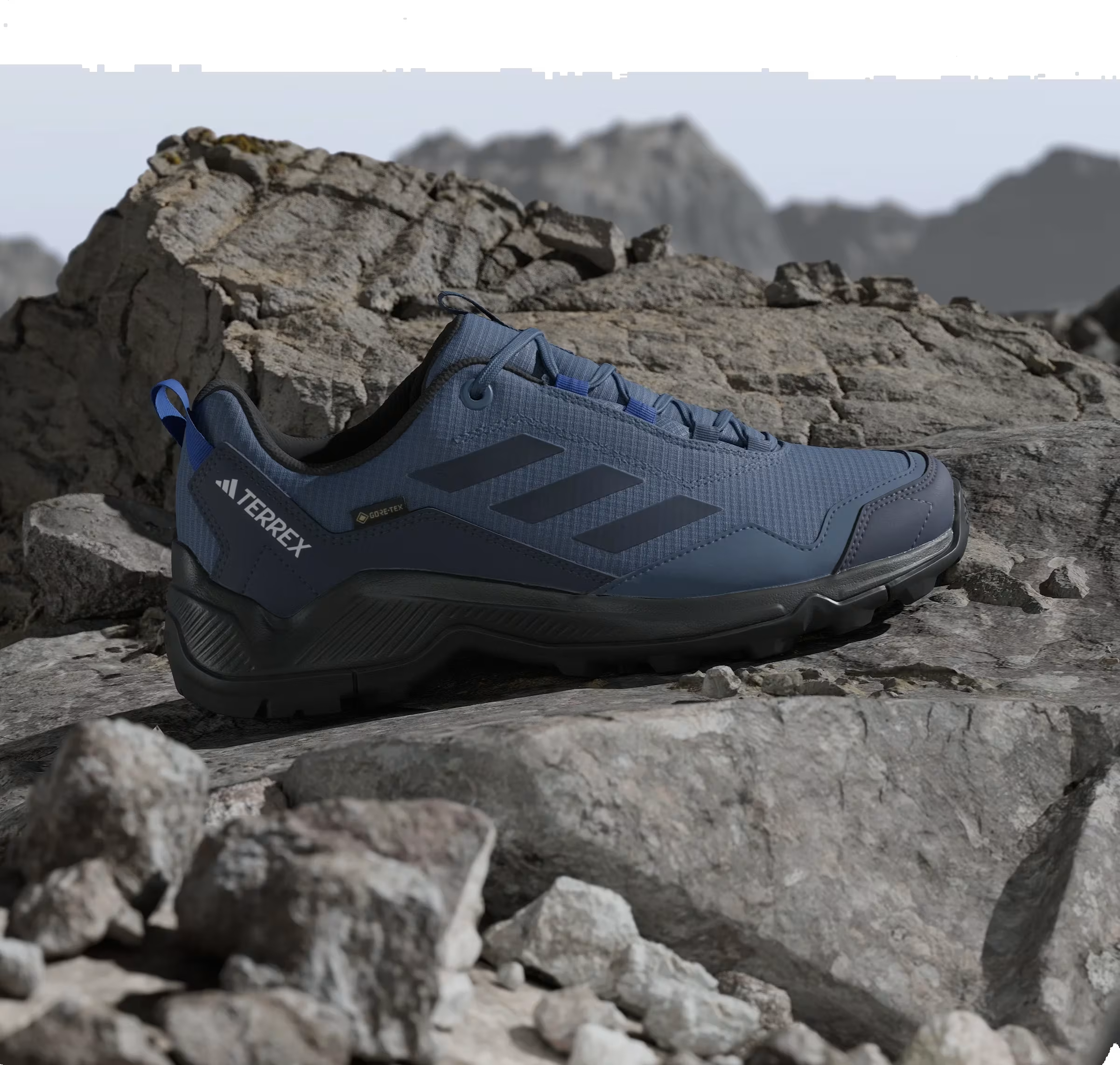 adidas Terrex Eastrail Gore-Tex Wonder Steel Shadow Navy Semi Lucid Blue