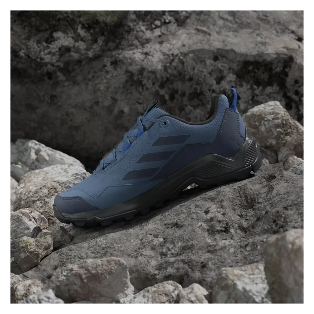 adidas Terrex Eastrail Gore-Tex Wonder Steel Shadow Navy Semi Lucid Blue
