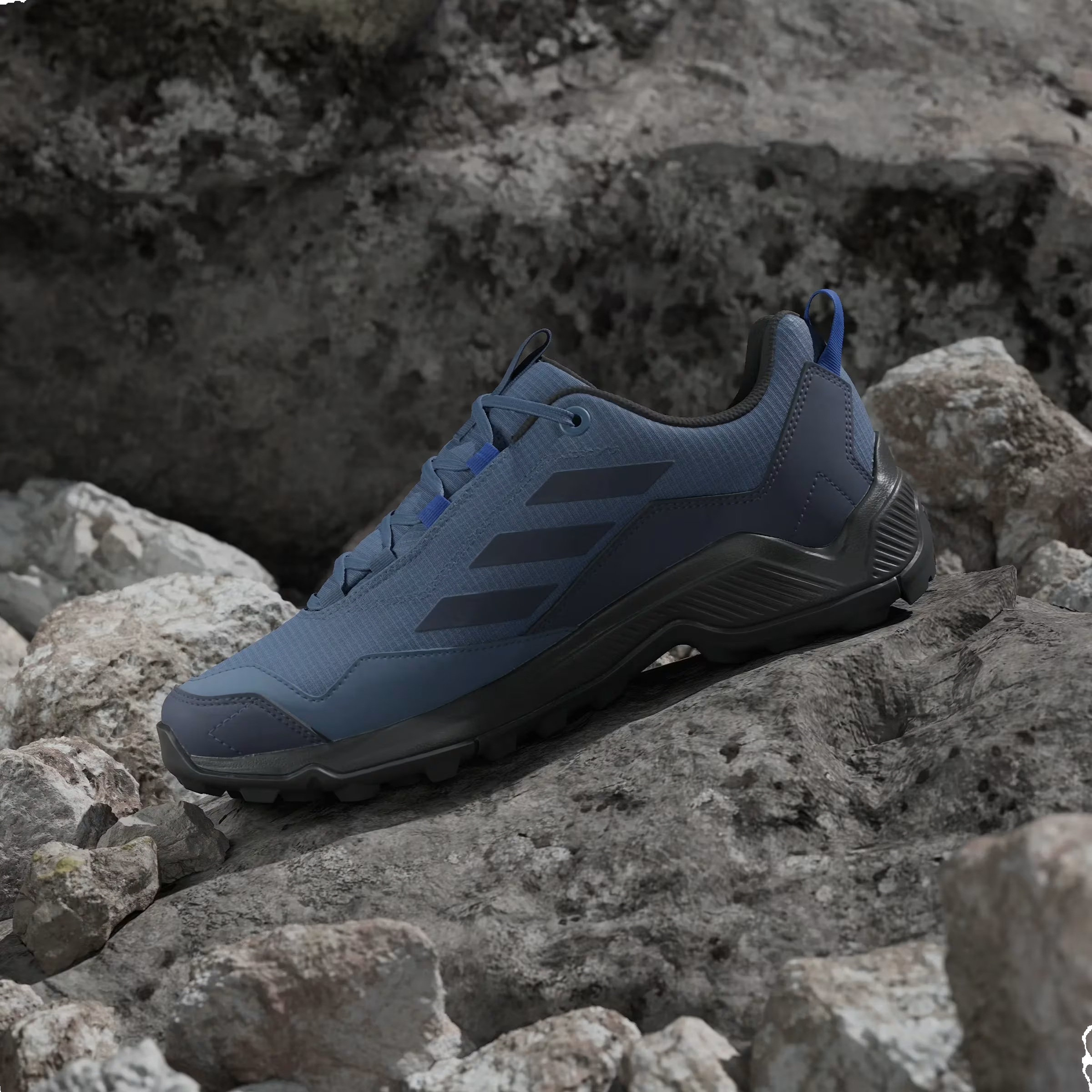 adidas Terrex Eastrail Gore-Tex Wonder Steel Shadow Navy Semi Lucid Blue